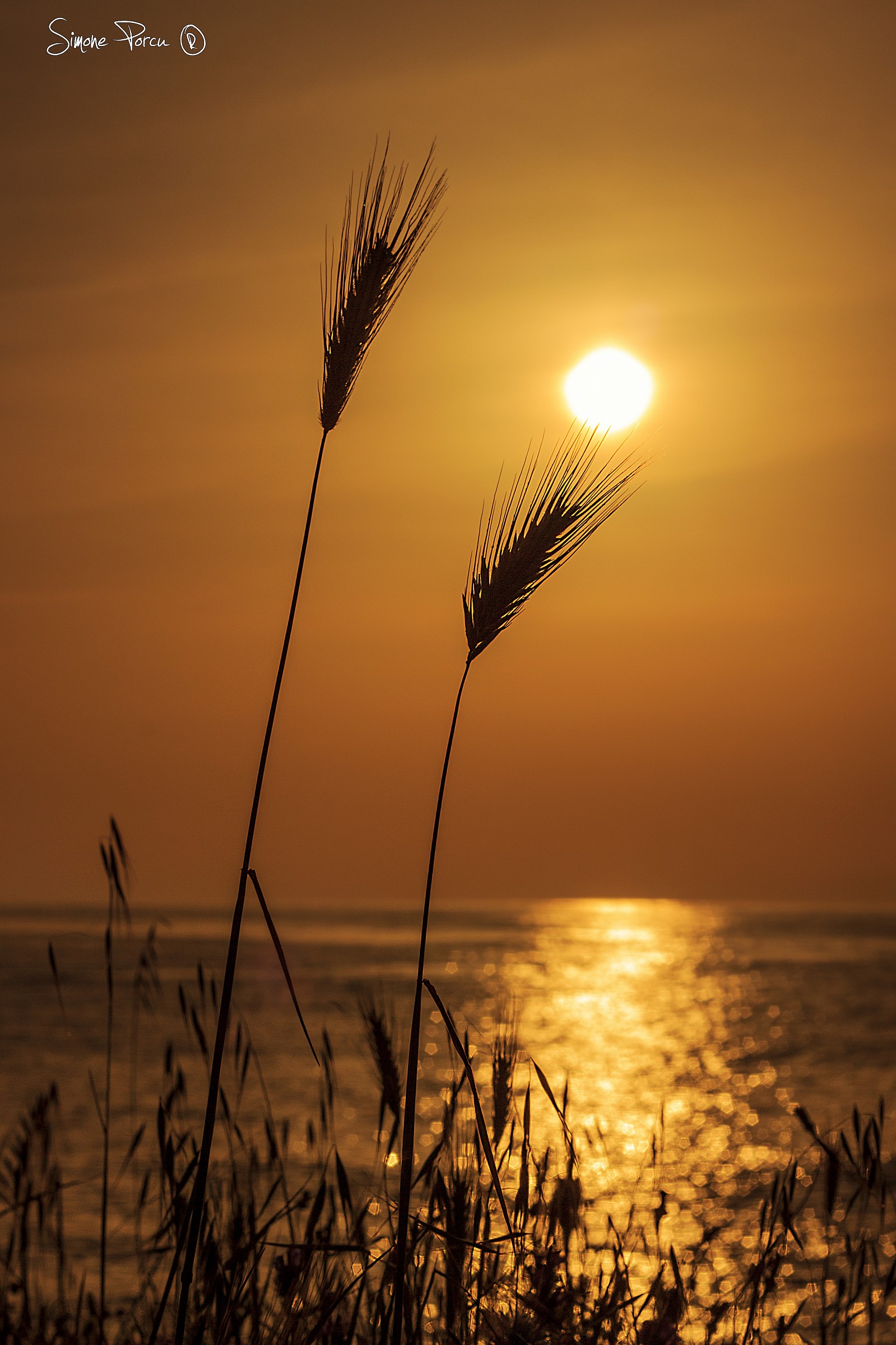 Love is at the sunrise