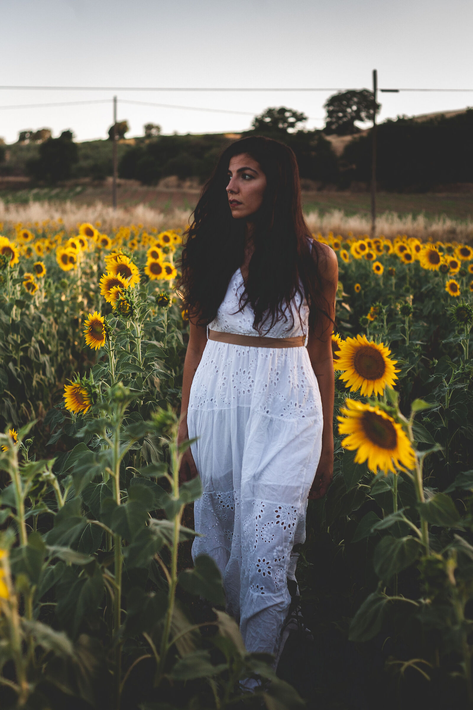 Untitled Photo