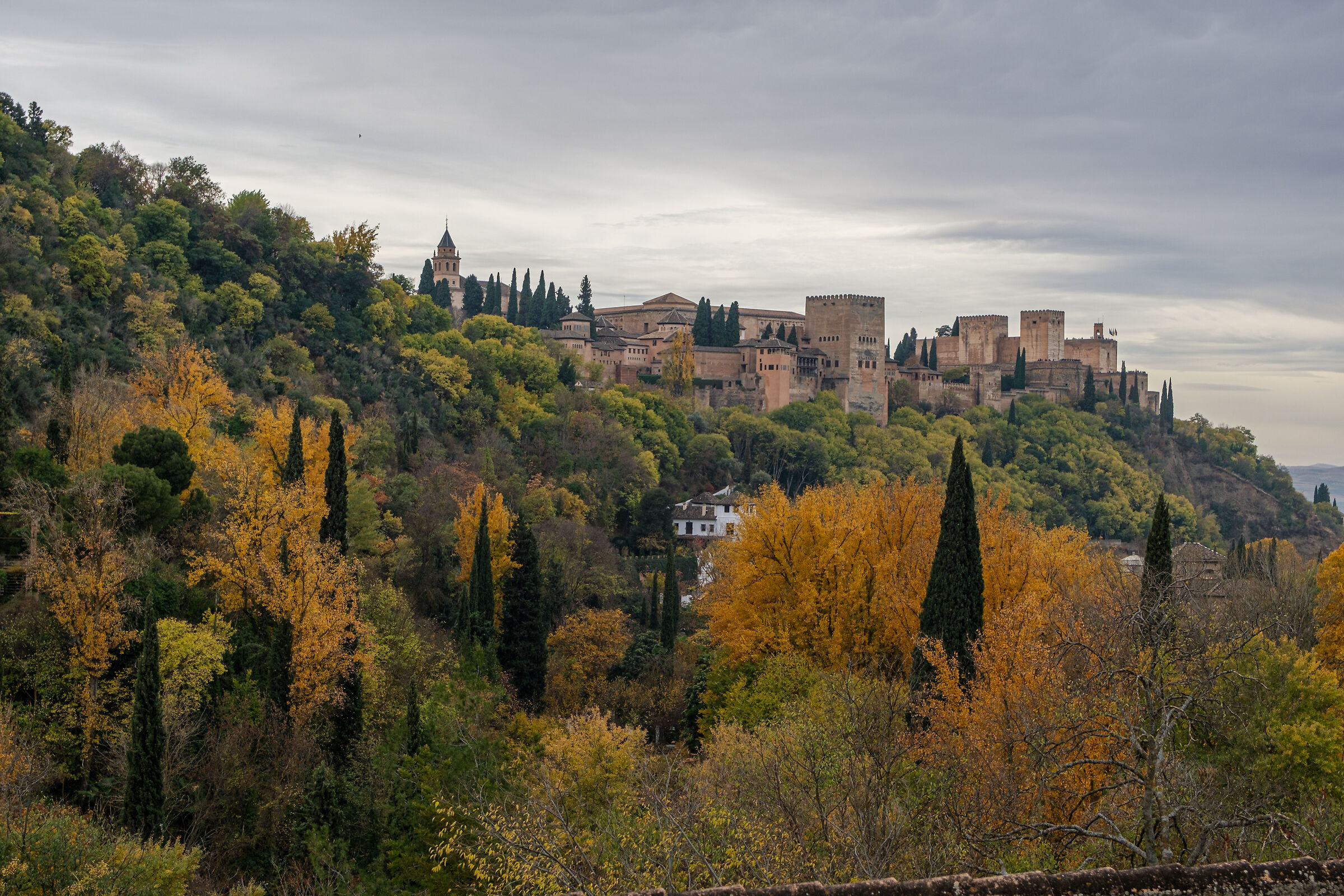 Alhambra - Granada