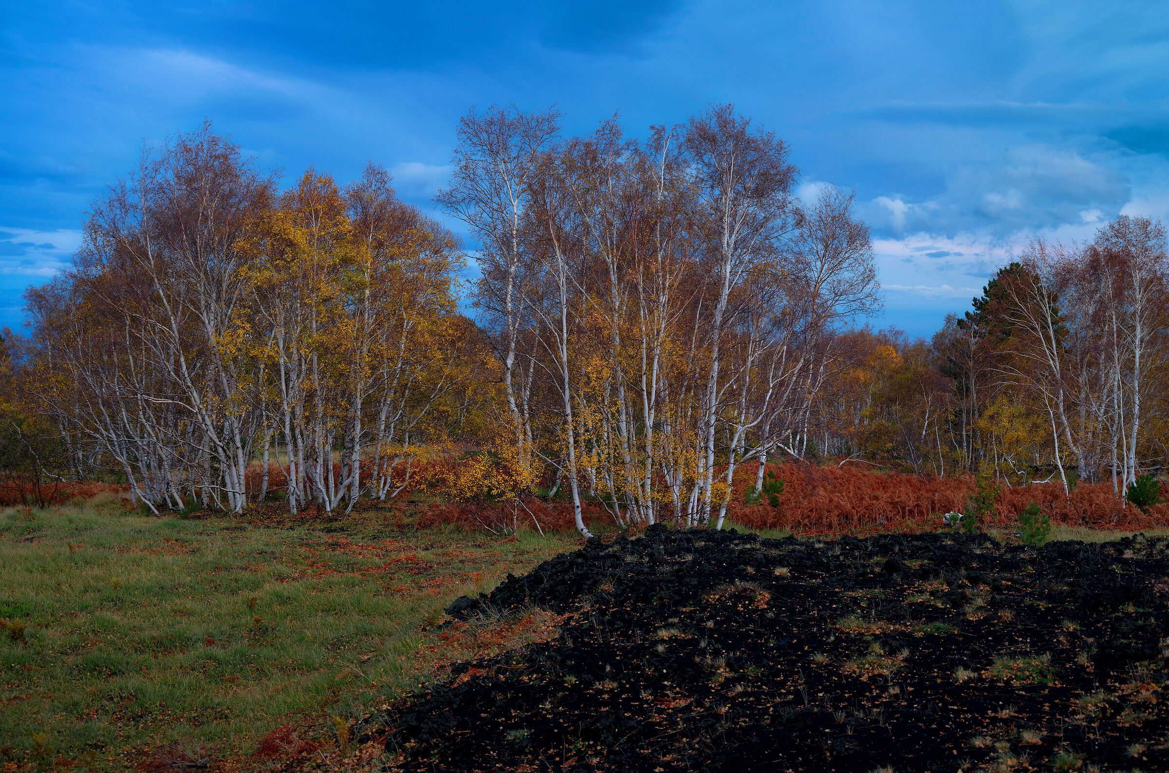 Now Blue & Autumn Colors...