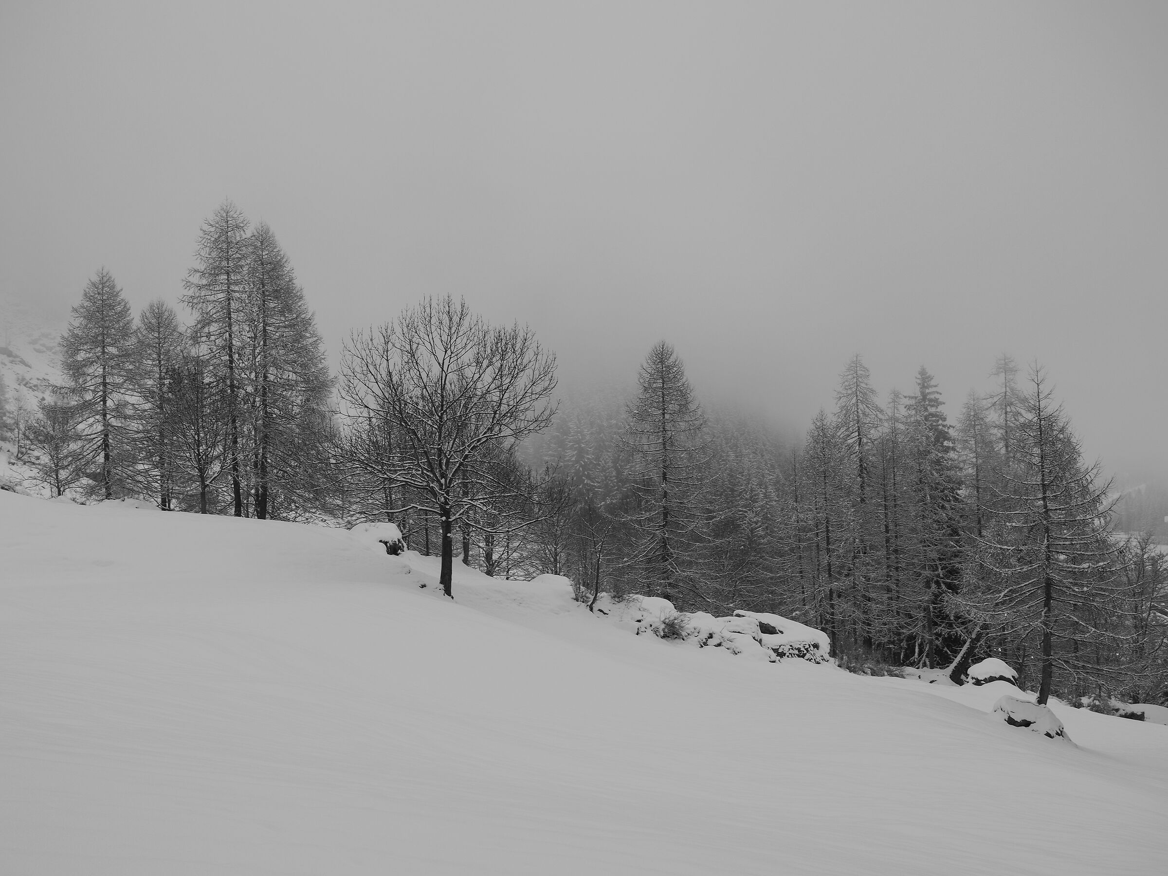 Valle D'Aosta Gressoney