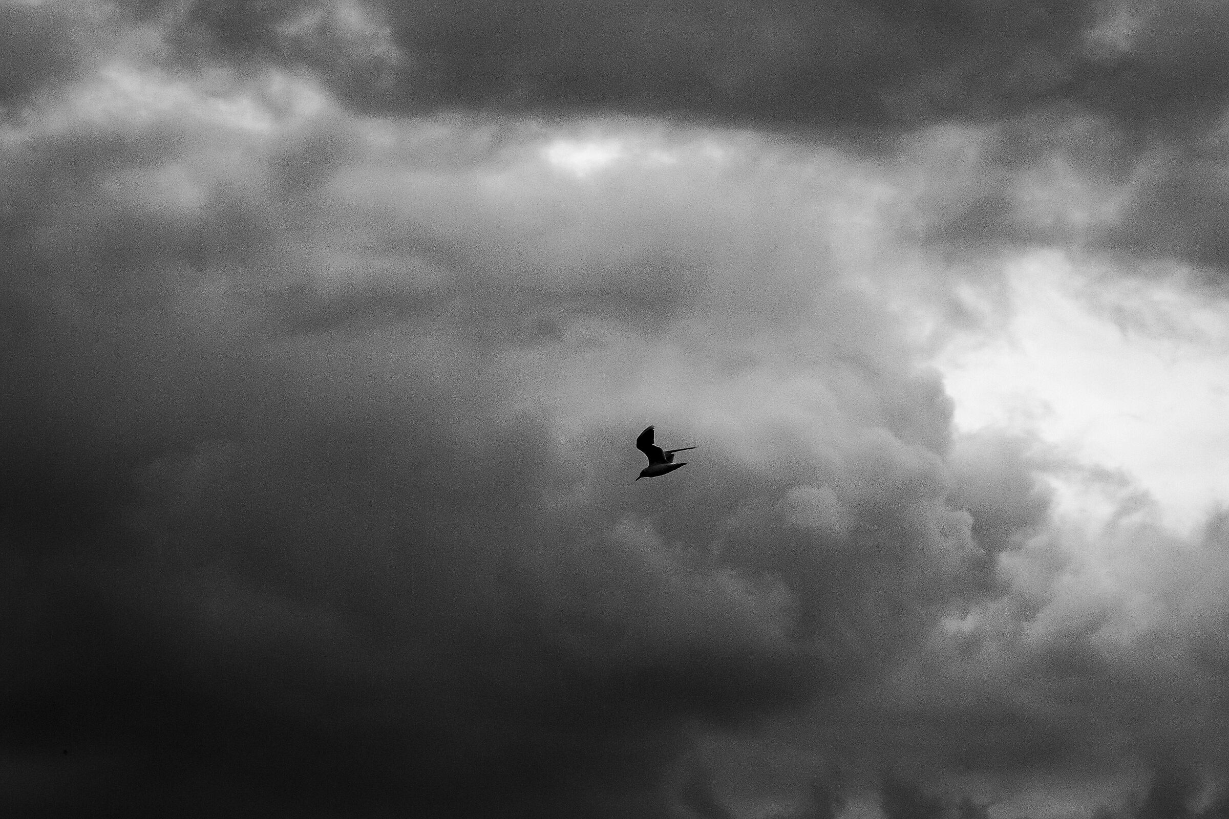 Volare tra le tenebre