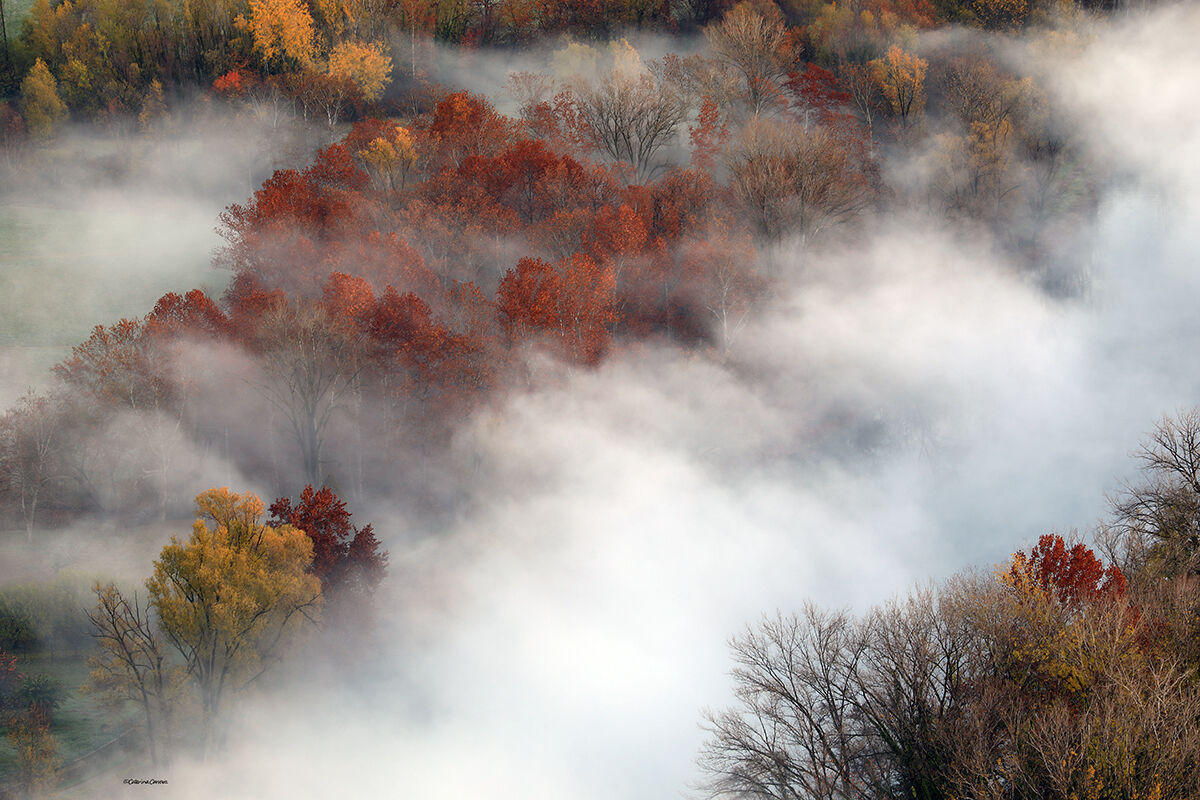 Last colors before winter.