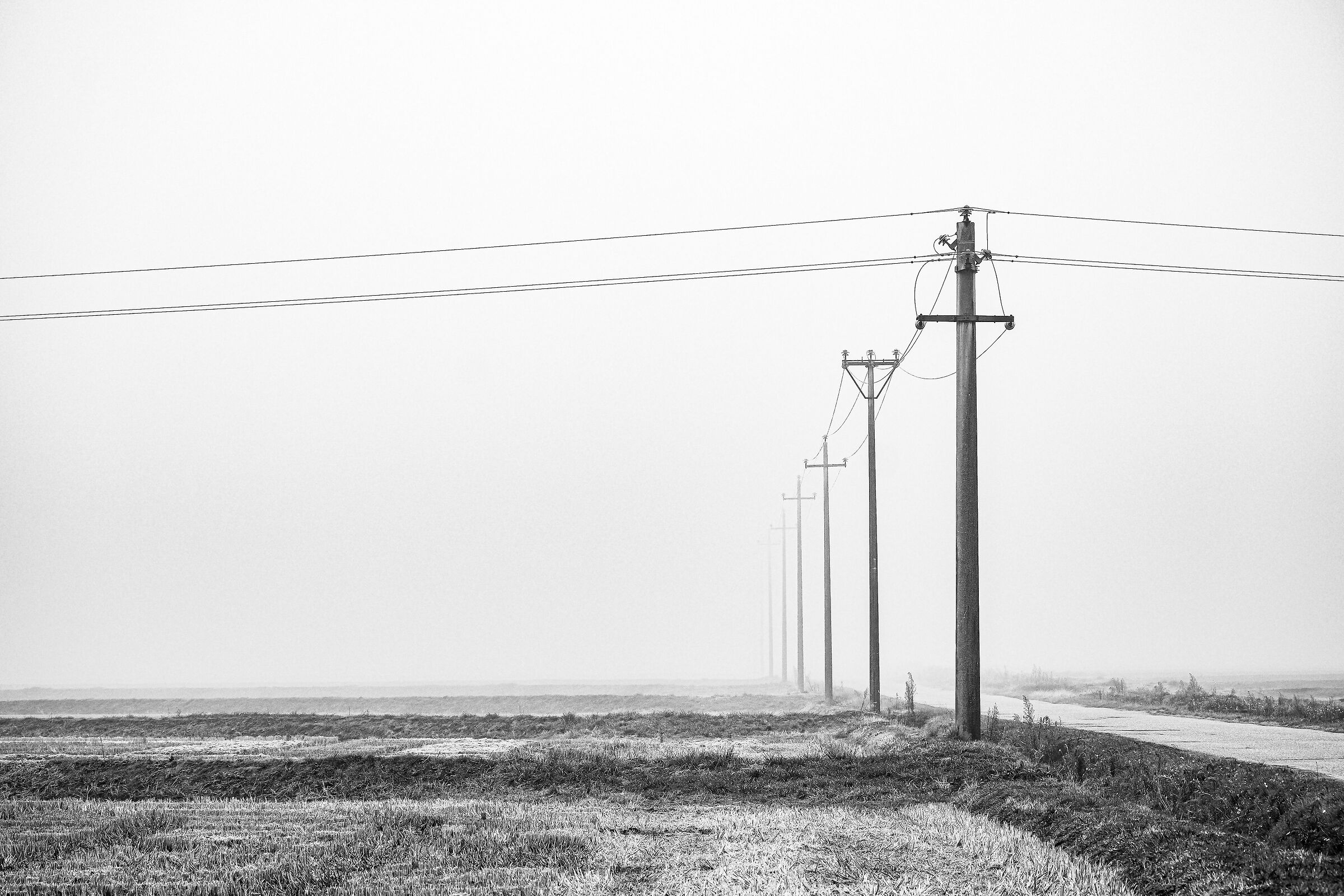 Incrocio nella nebbia