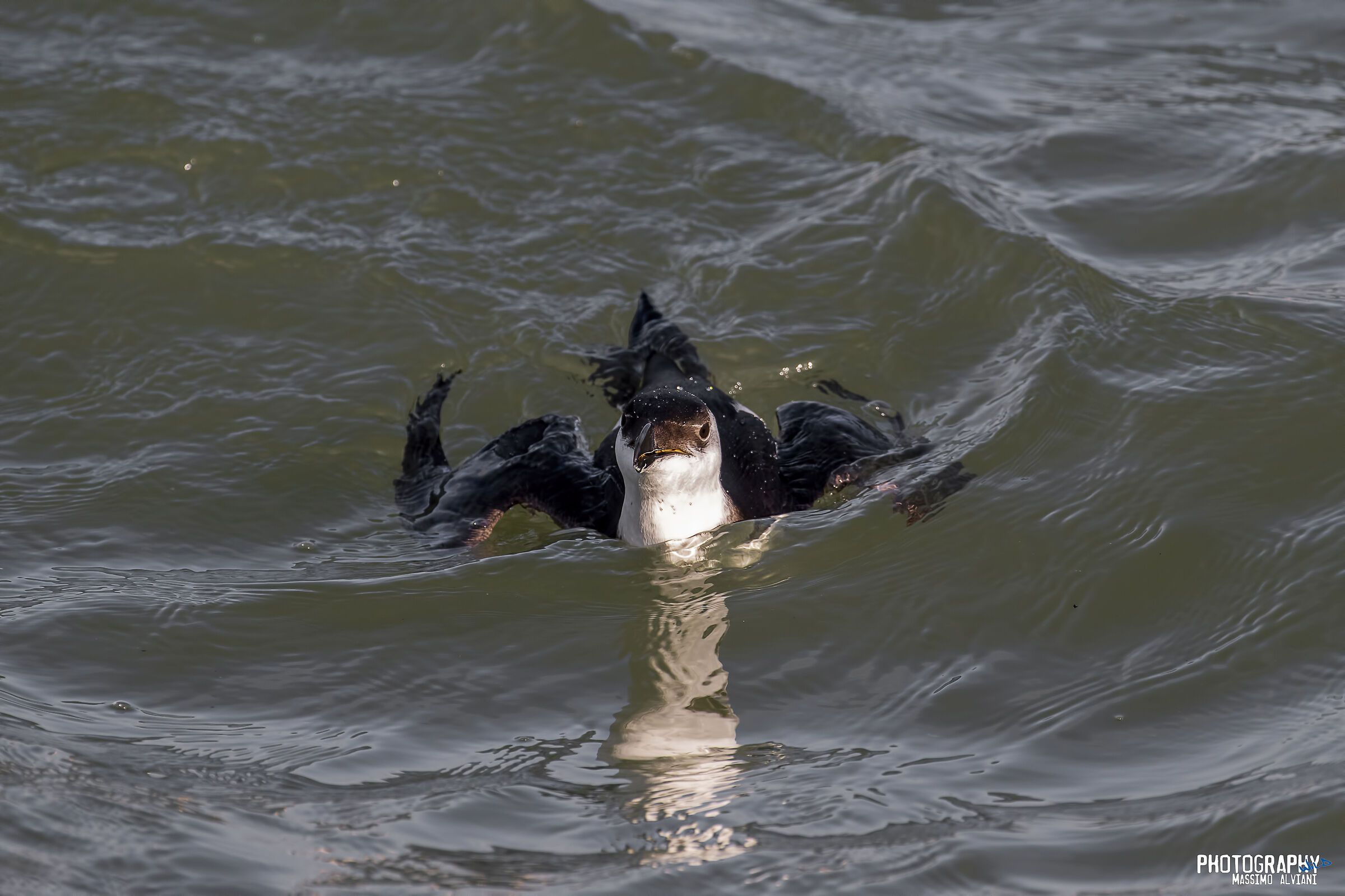 Ma che ti fotografi...............