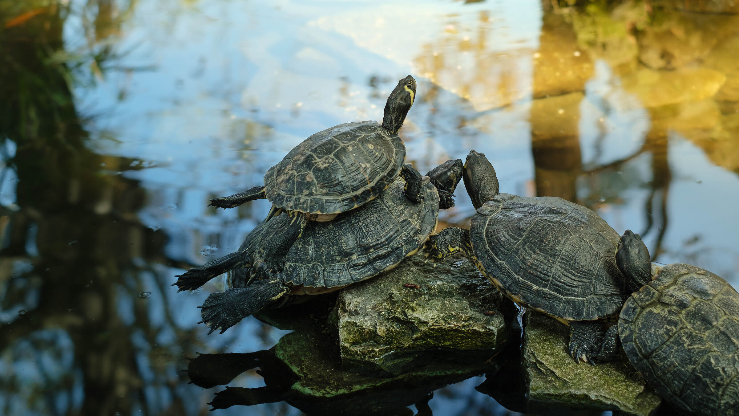 Abbronzatura autunnale.