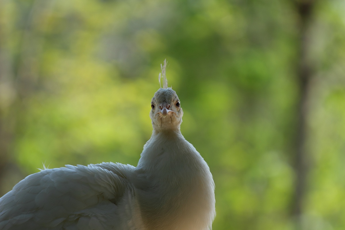 ... What do you want from me?