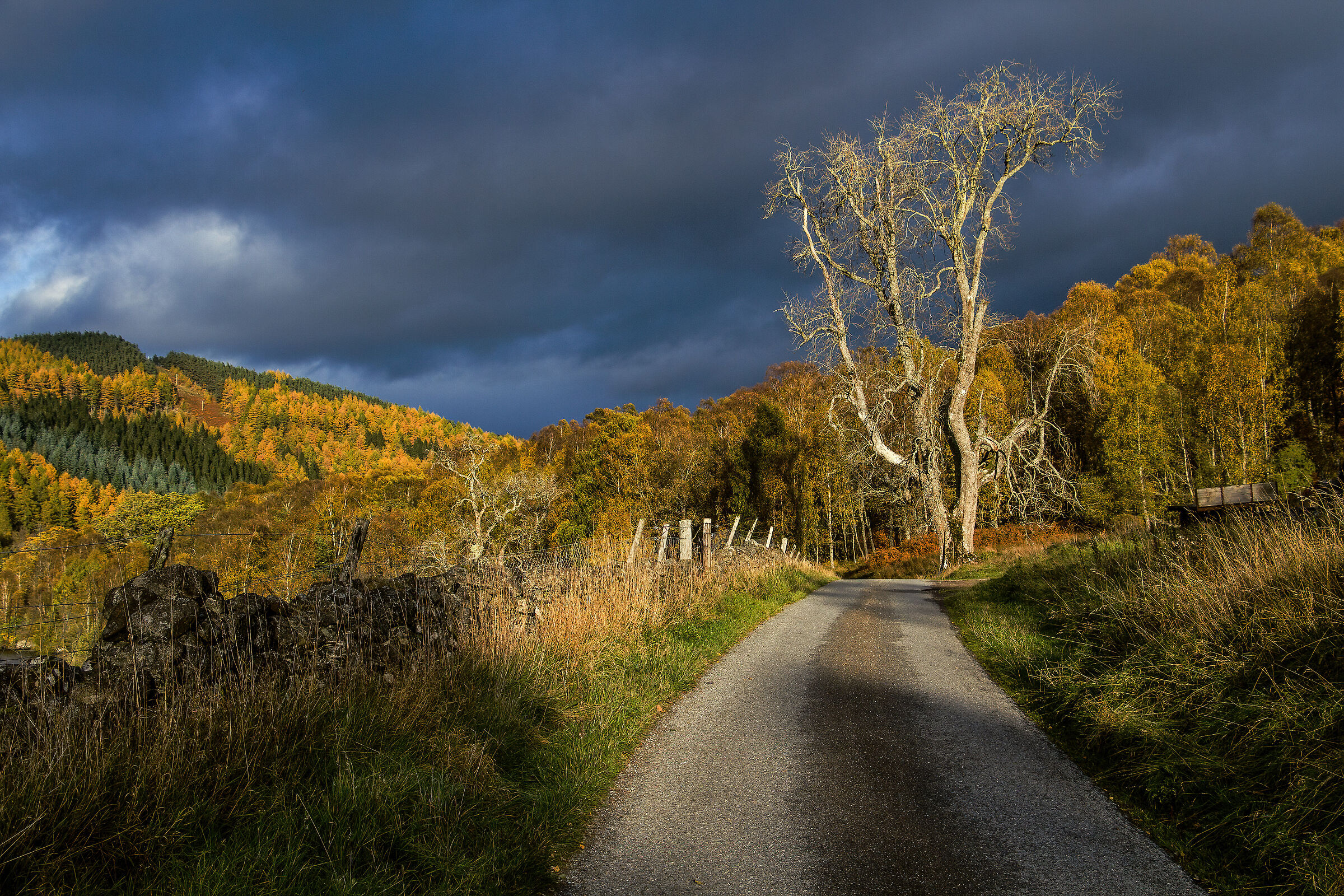 Per strada (Perthshire)