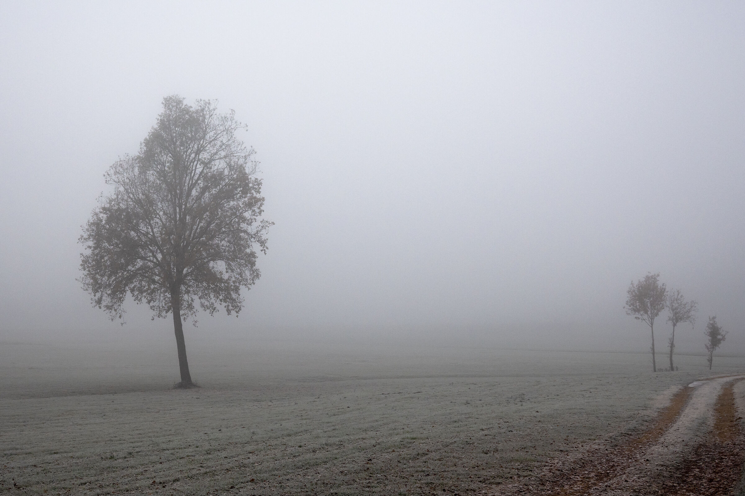Winter in the Po Valley