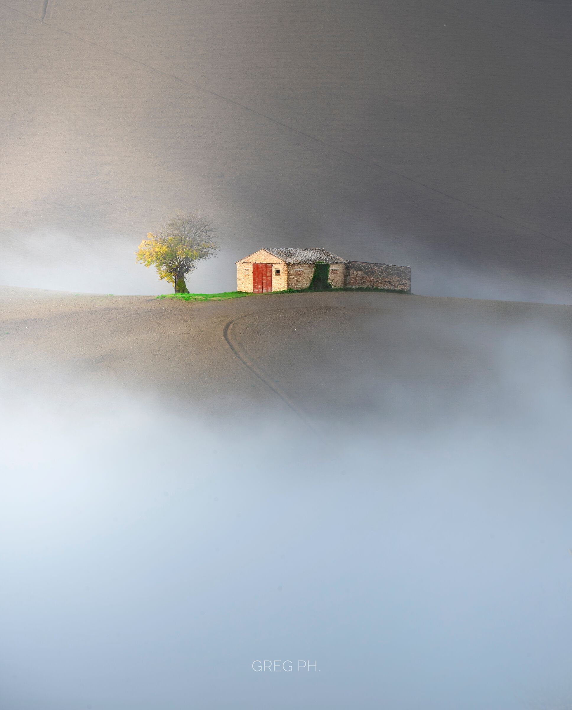 The shed