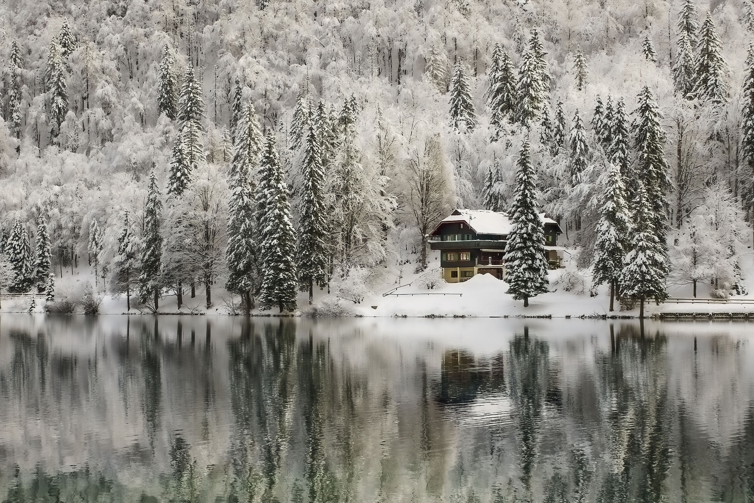 Lago inferiore di Fusine 14/12/2022
