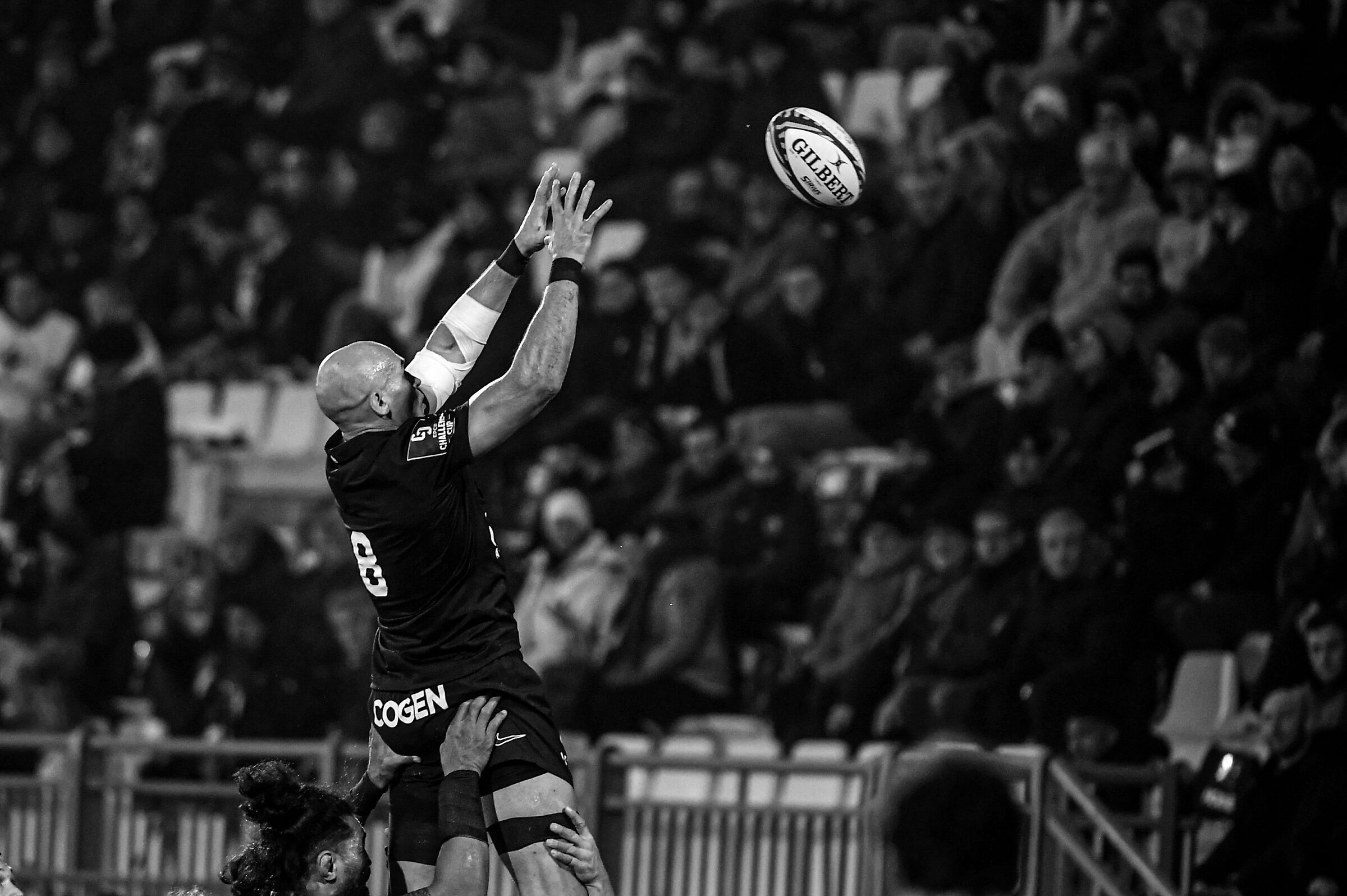 Zebre Parma - Toulon Sergio Parisse