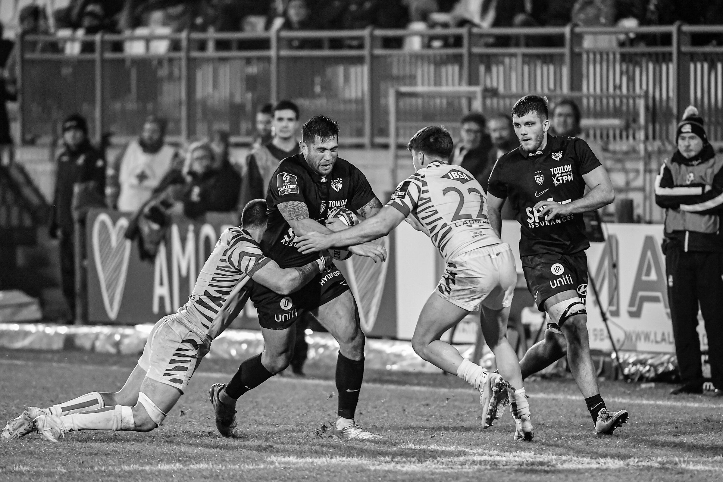 Zebre Parma - Toulon Sergio Parisse