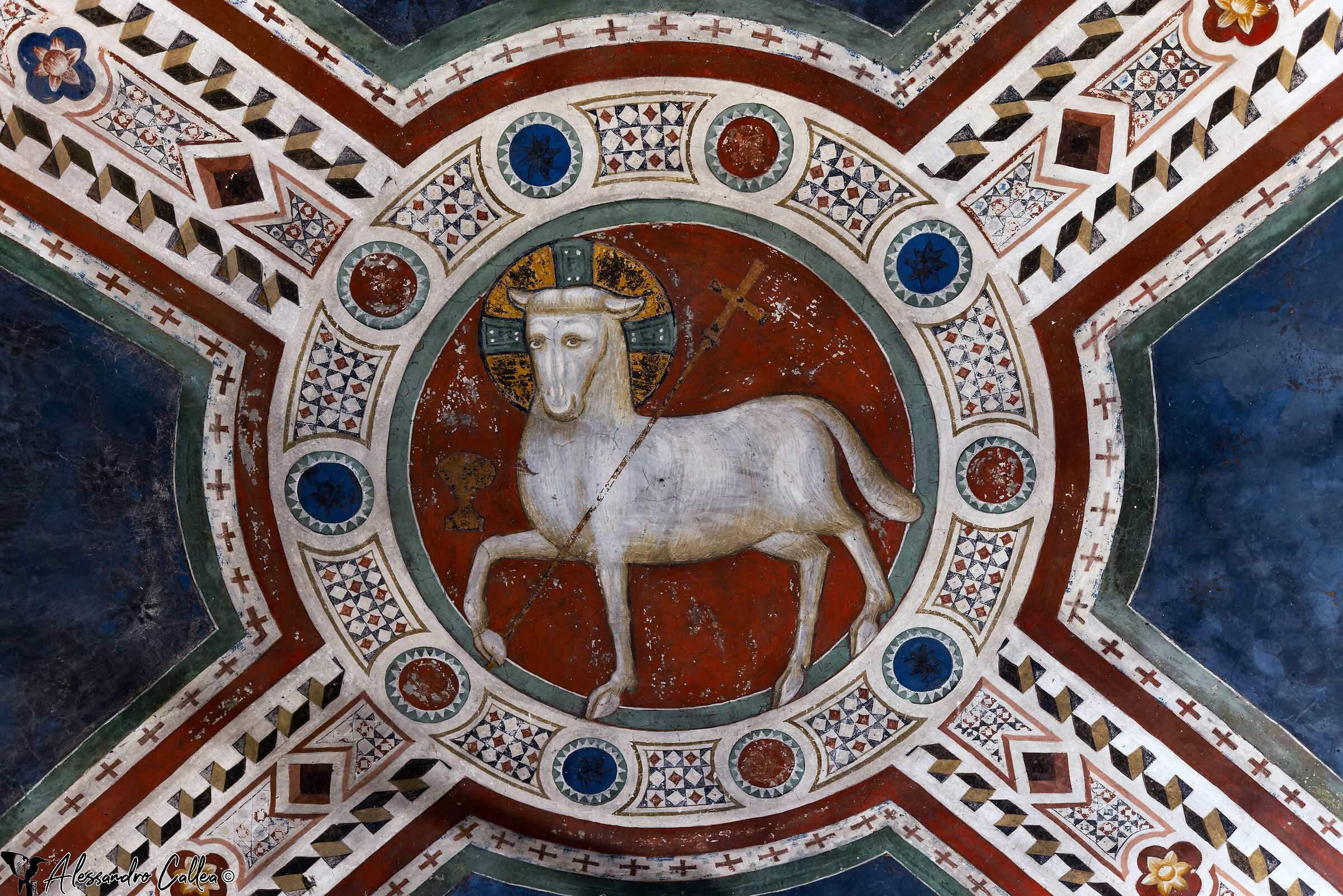 L'agnello di Dio che toglie i peccati del Mondo