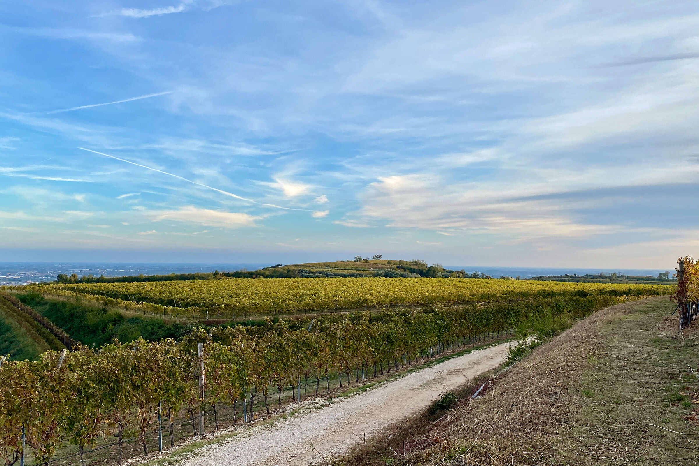 Colline Veronesi - 1