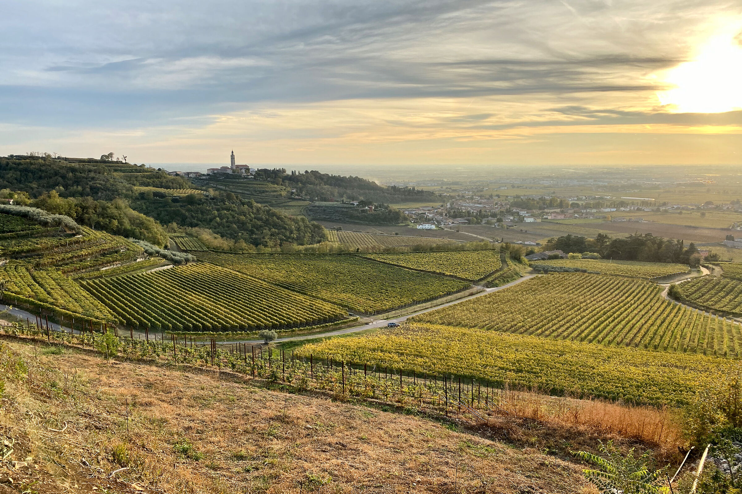 Colline Veronesi - 2