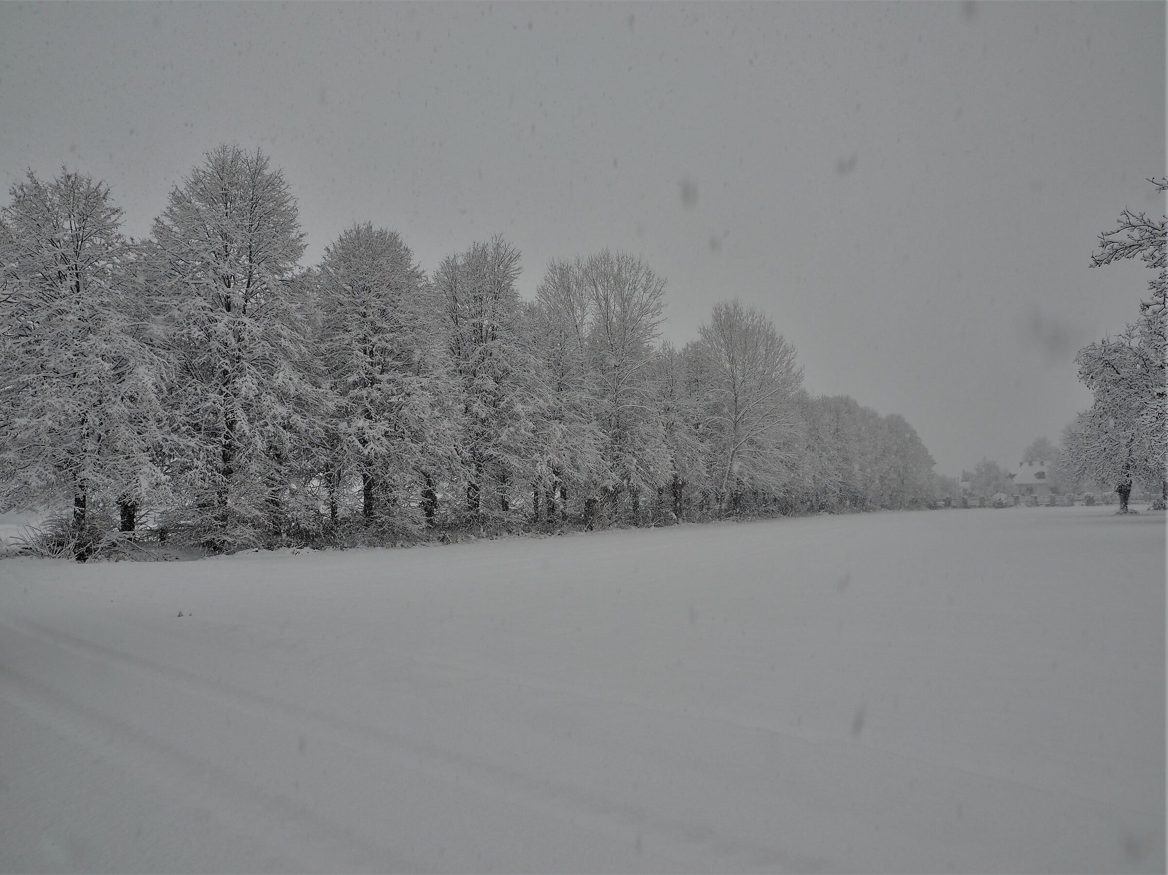 ... The "general" winter has arrived....