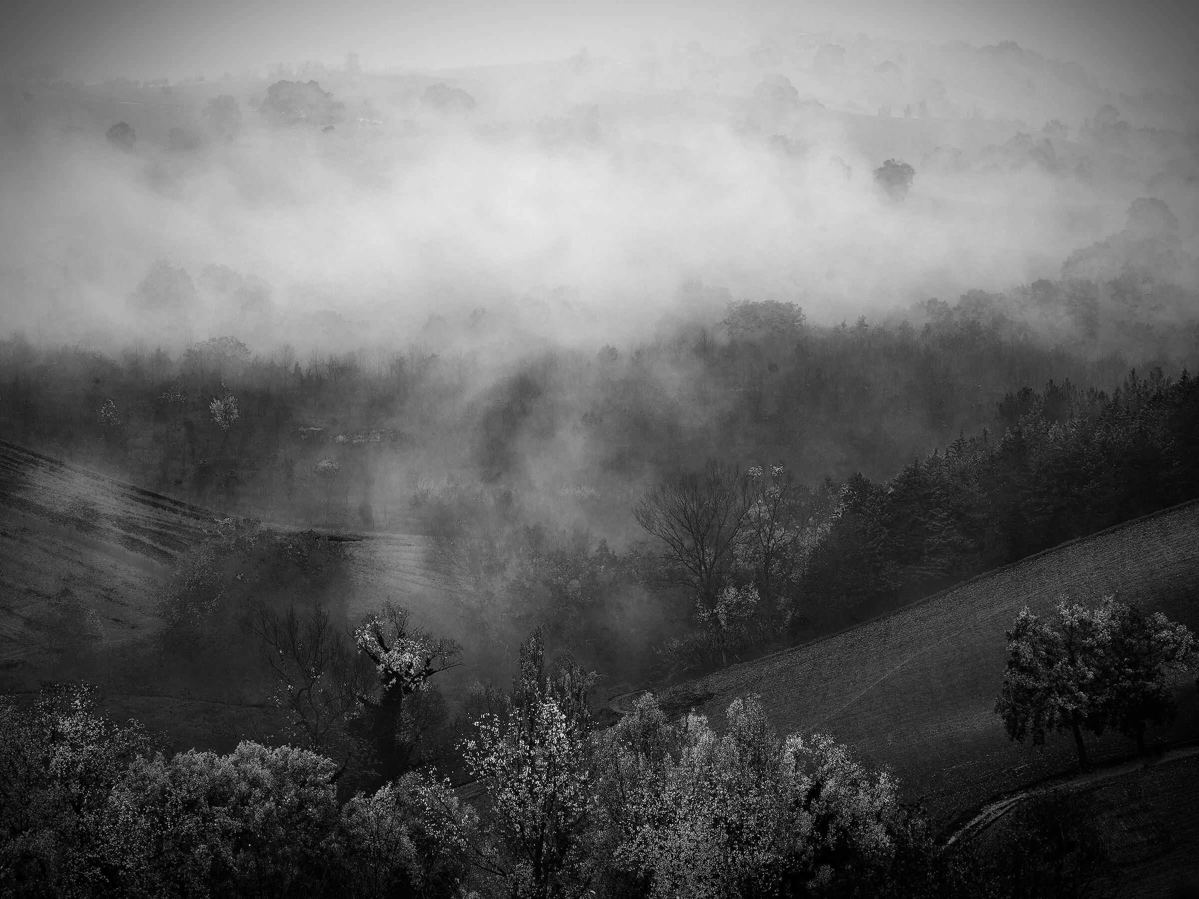 Autumn on the hills of the Marche