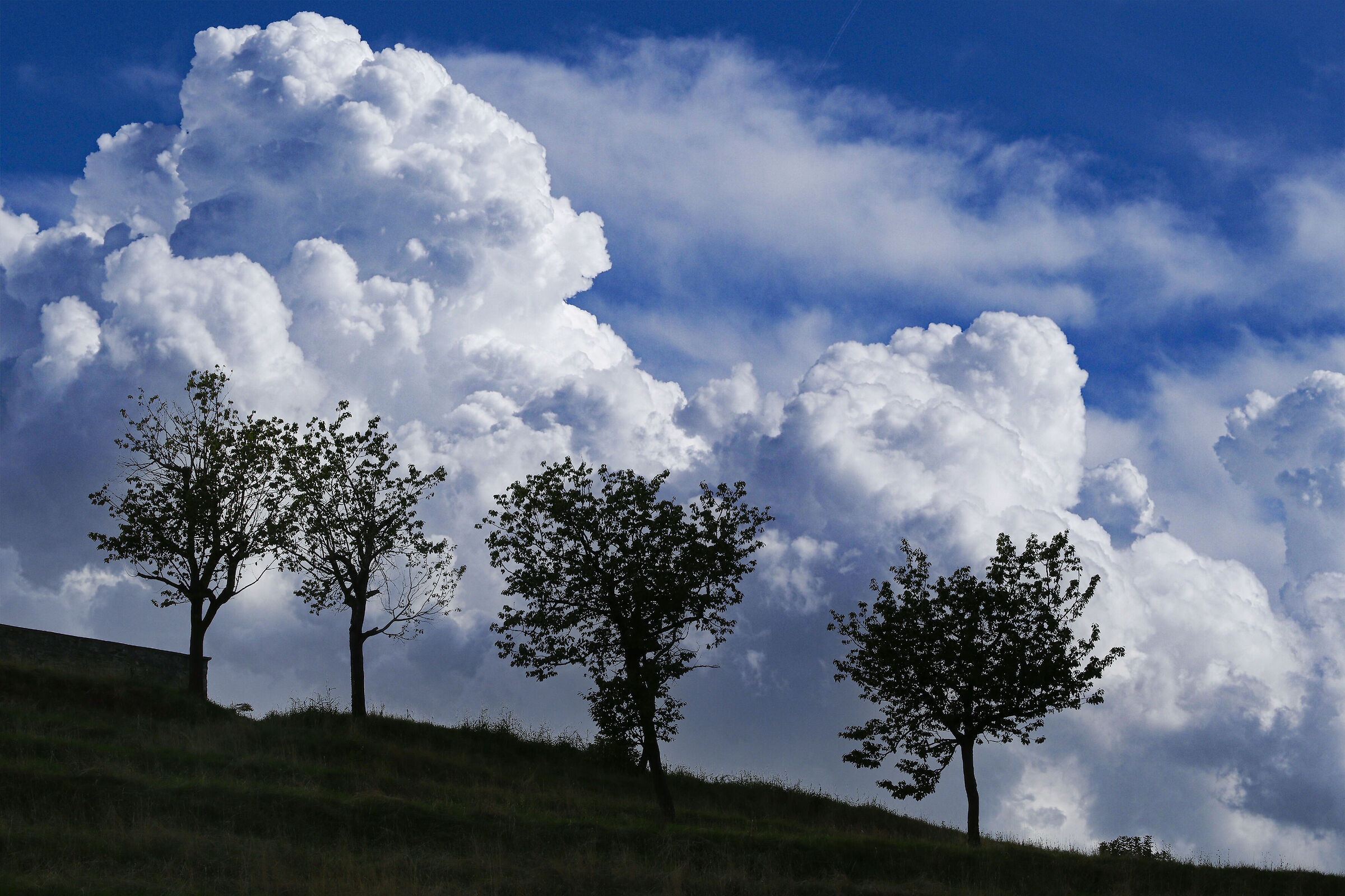 profili in controluce