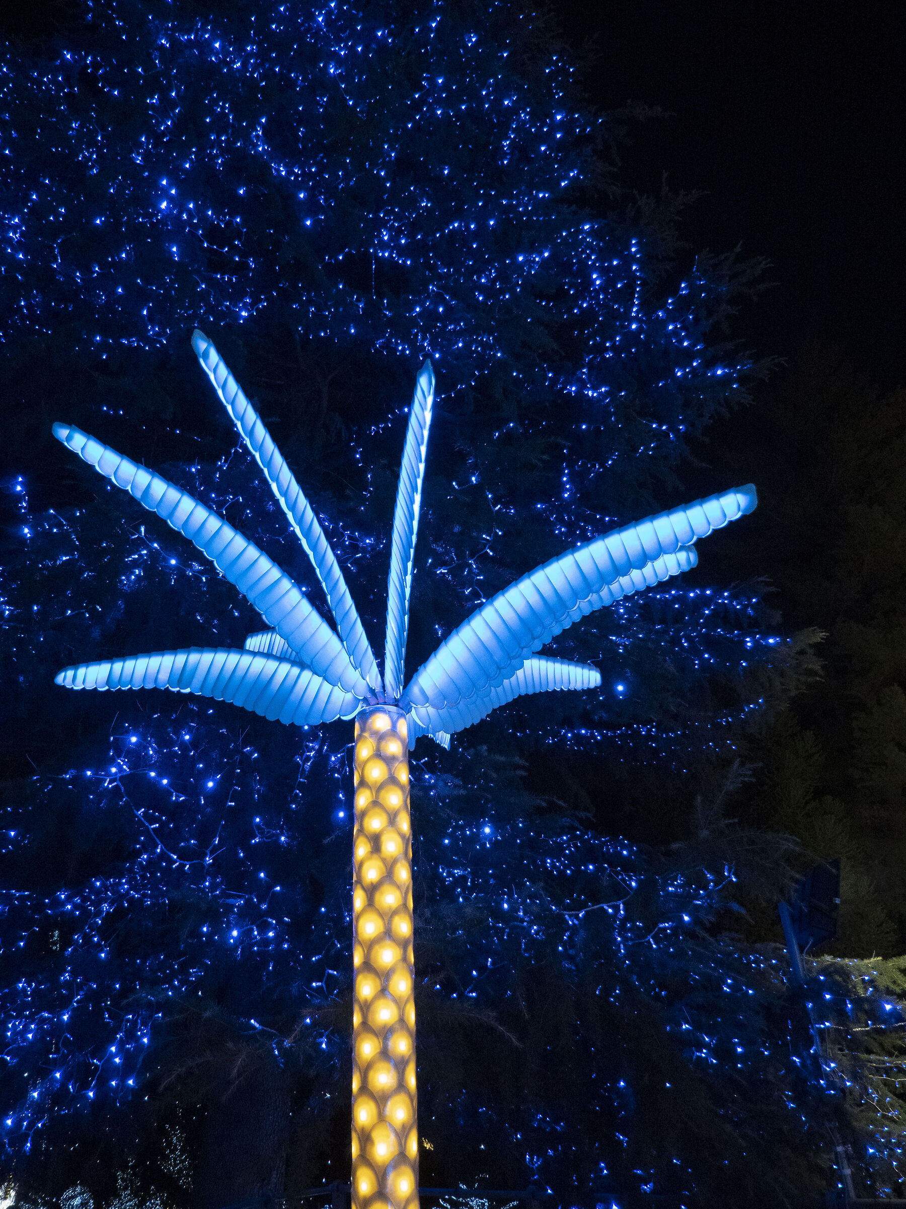 Lucine di Leggiuno VA