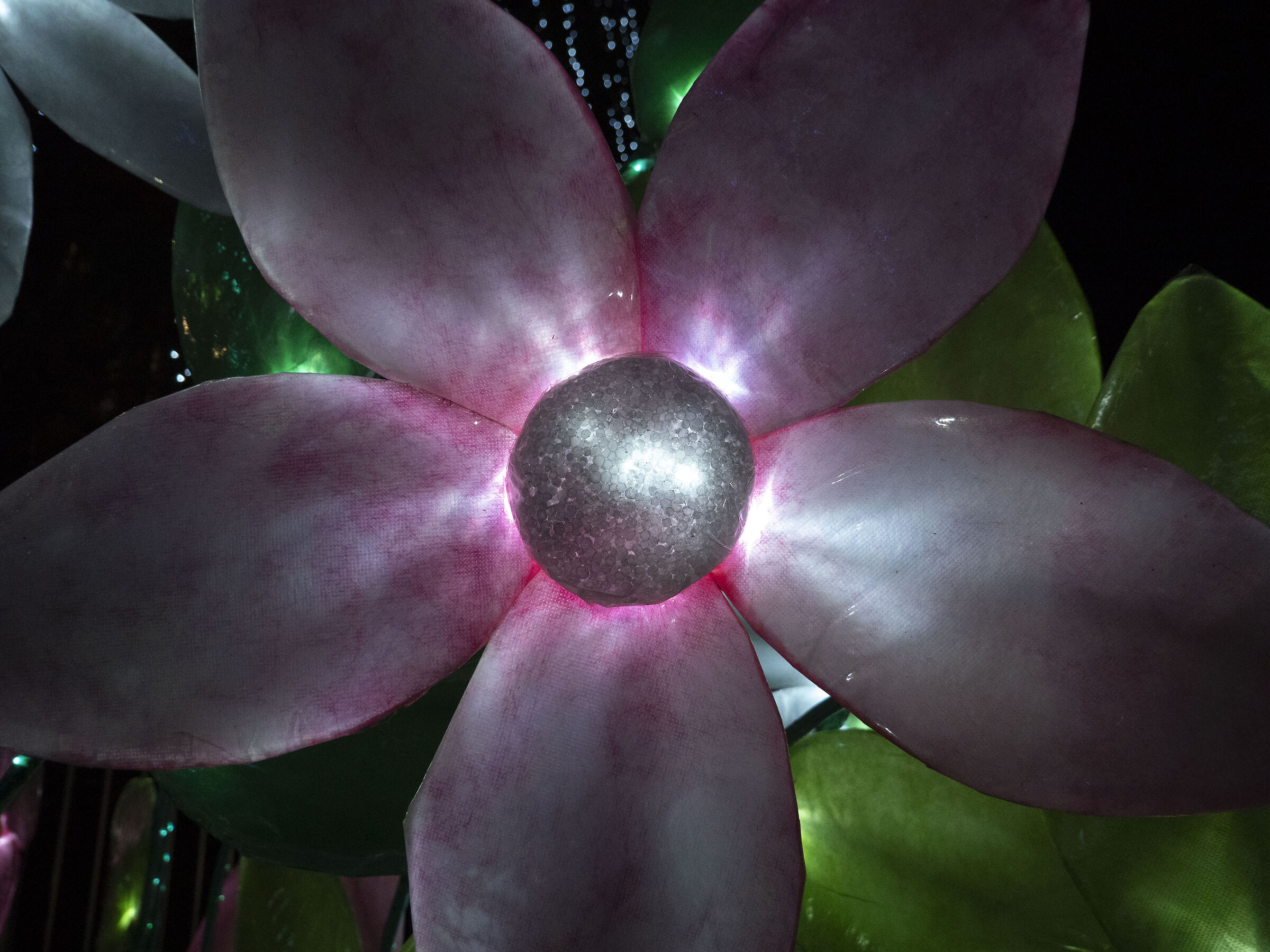 Lucine di Leggiuno VA