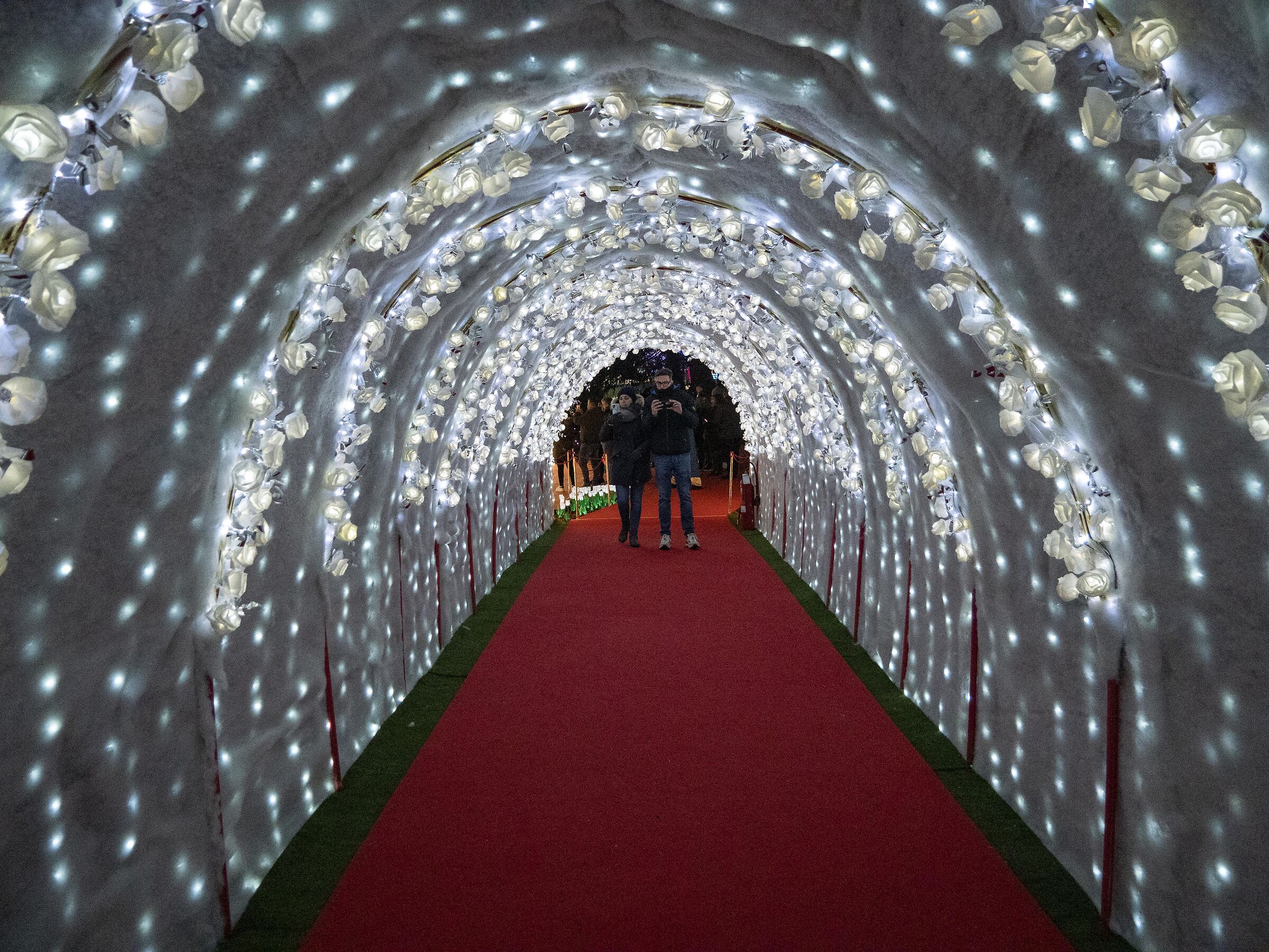 Lucine di Leggiuno VA