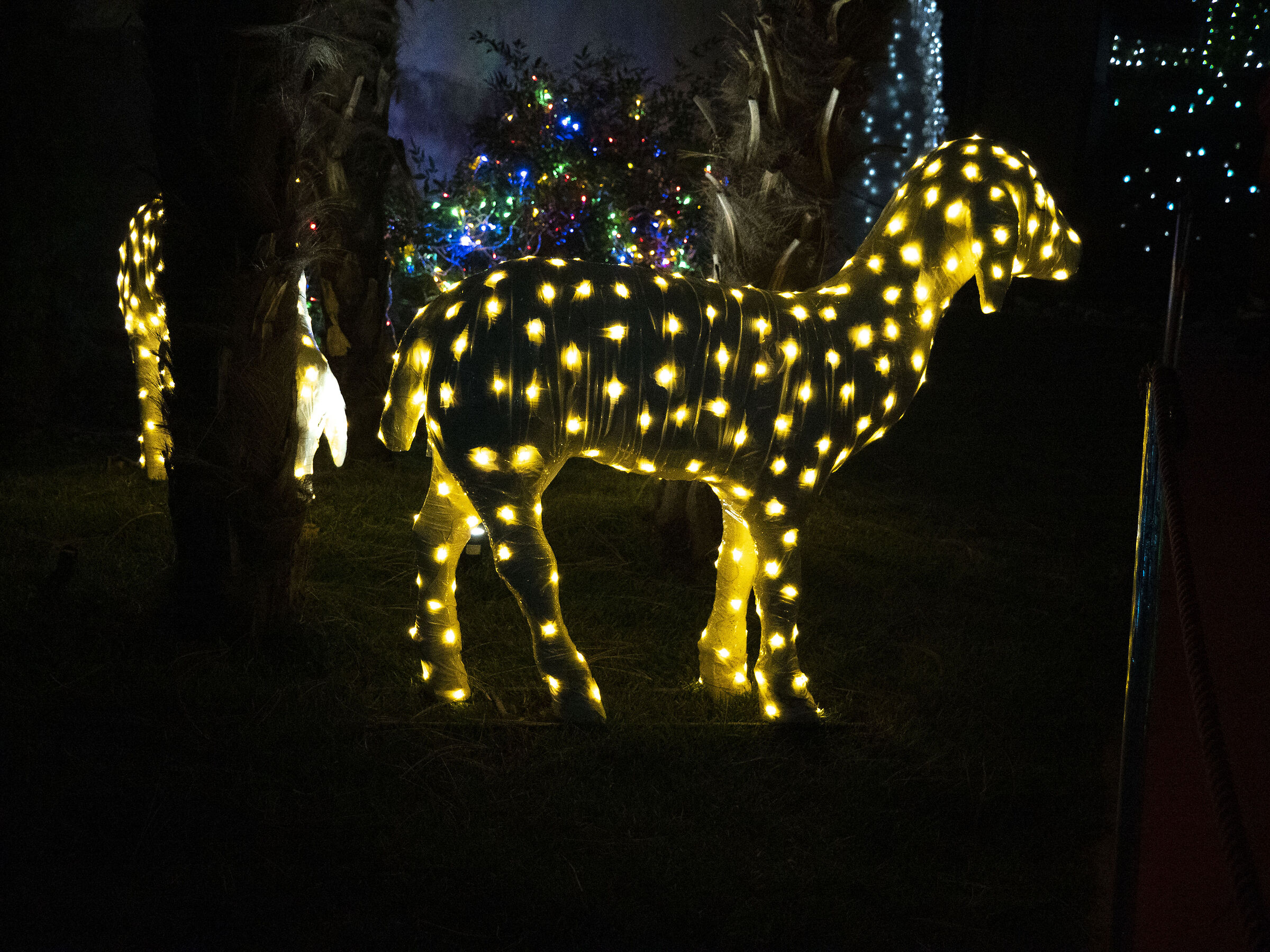 Lucine di Leggiuno VA