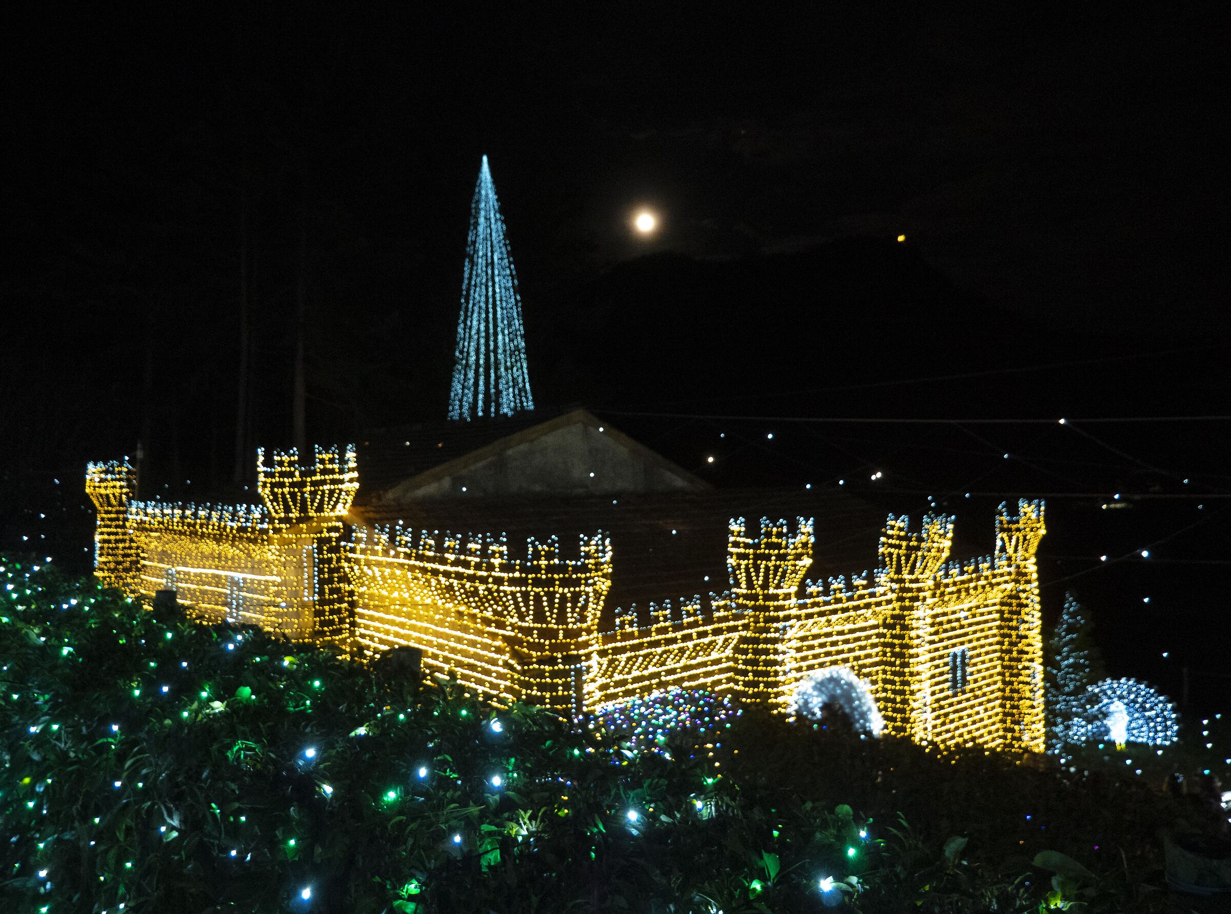 Lucine di Leggiuno VA