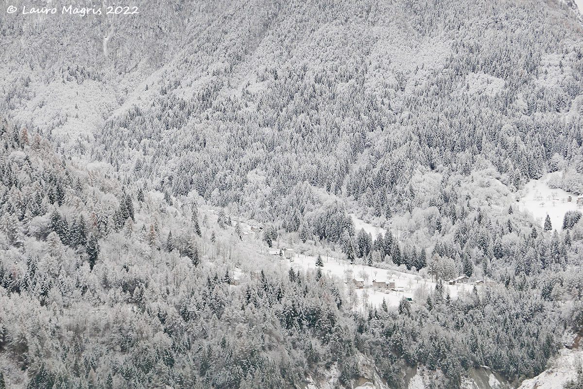 Come zucchero a velo