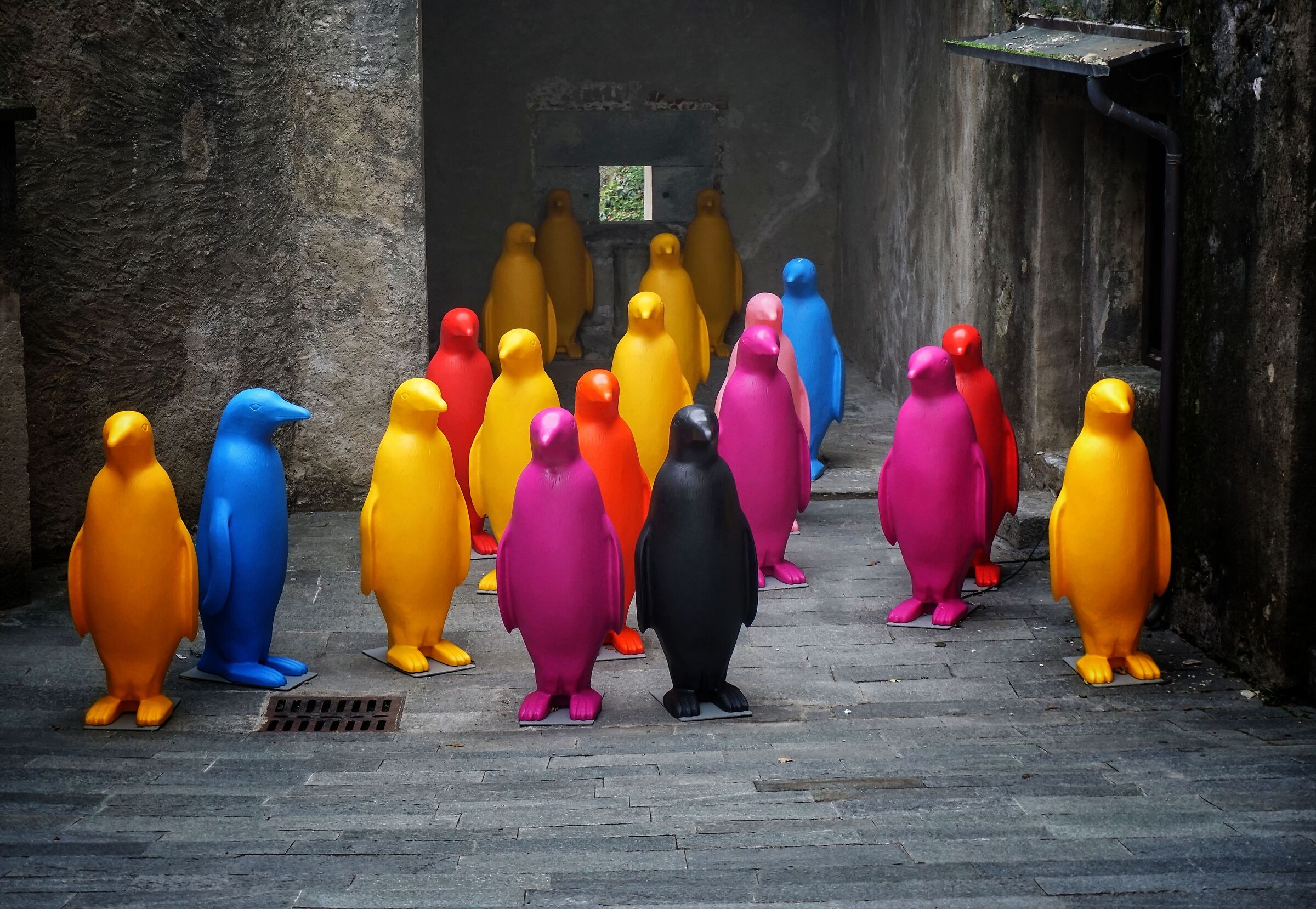 Art with recycled plastic