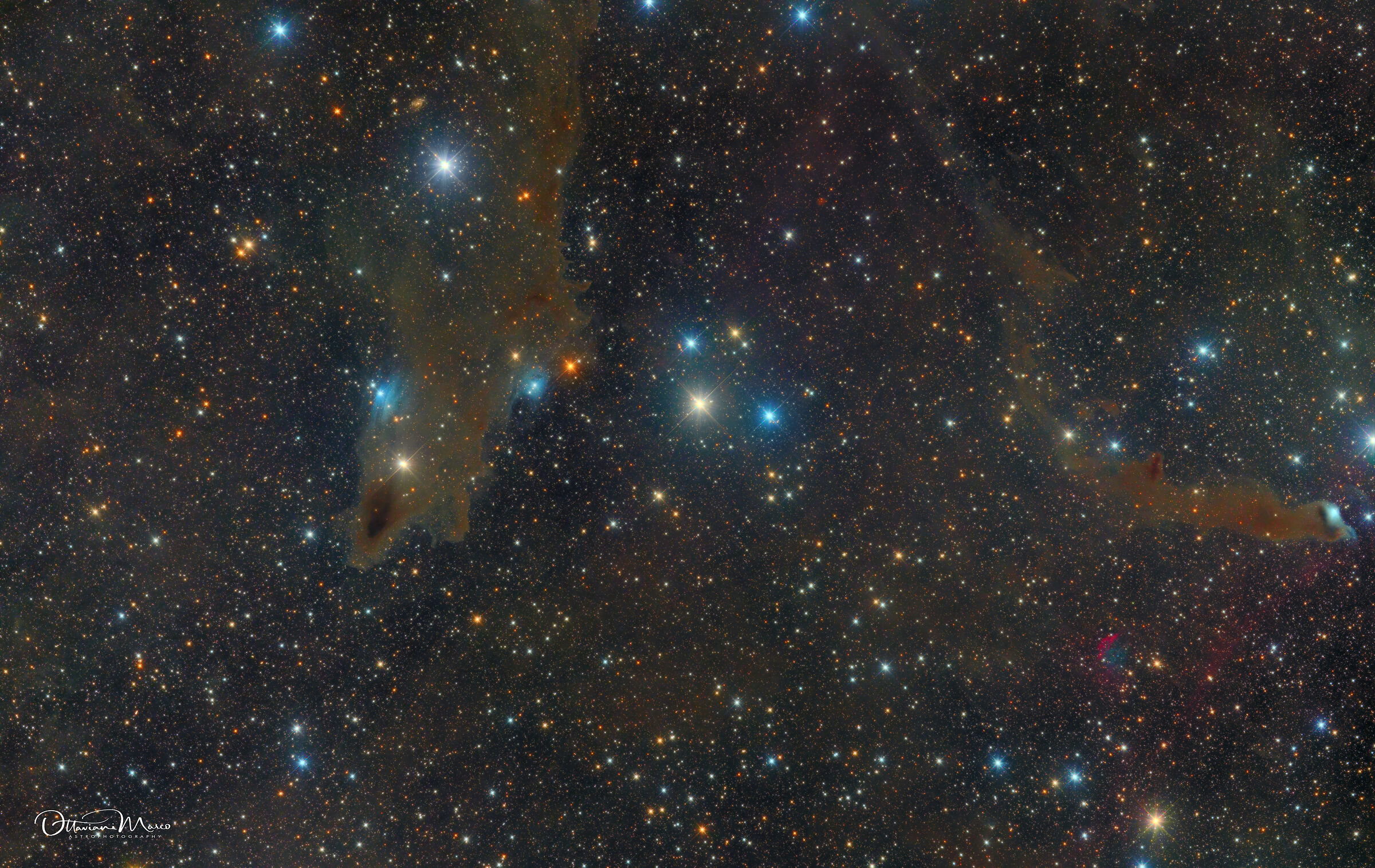 ldn1235 dark nebula (shark)
