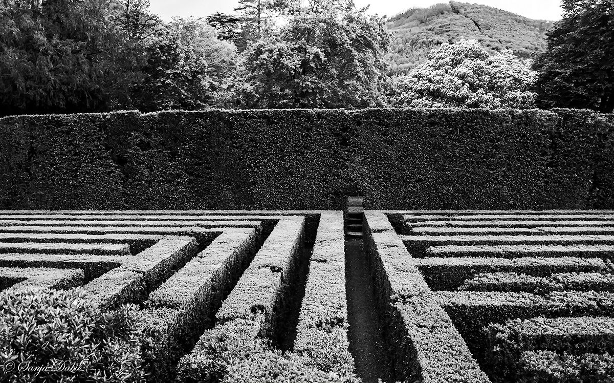 Villa Barbarigo Valsanzibio (maze)