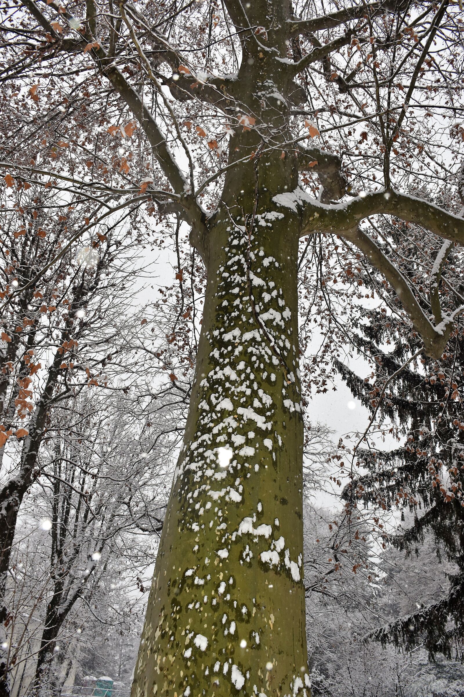 Upwards