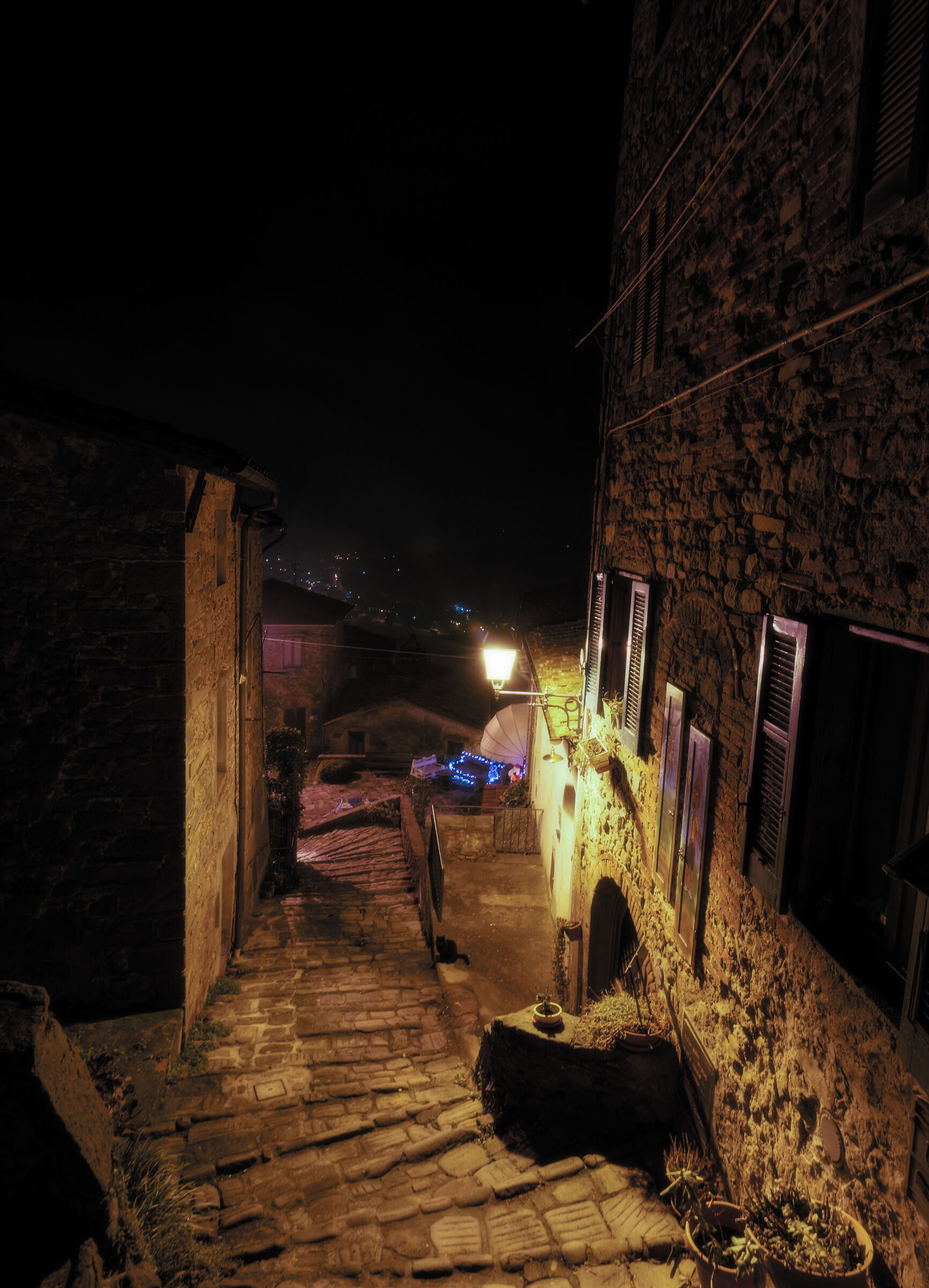 Pinocchio at Christmas