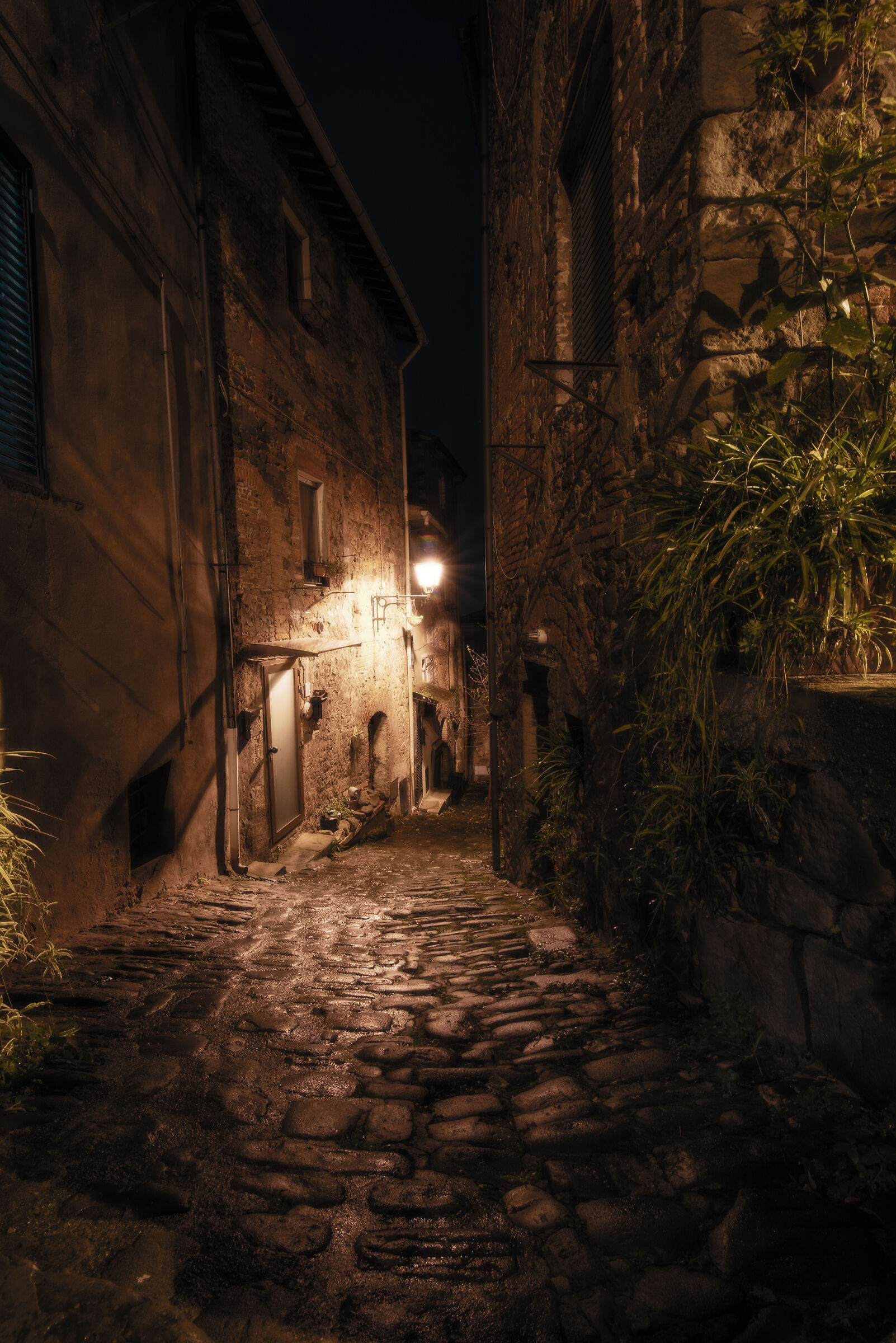 Collodi