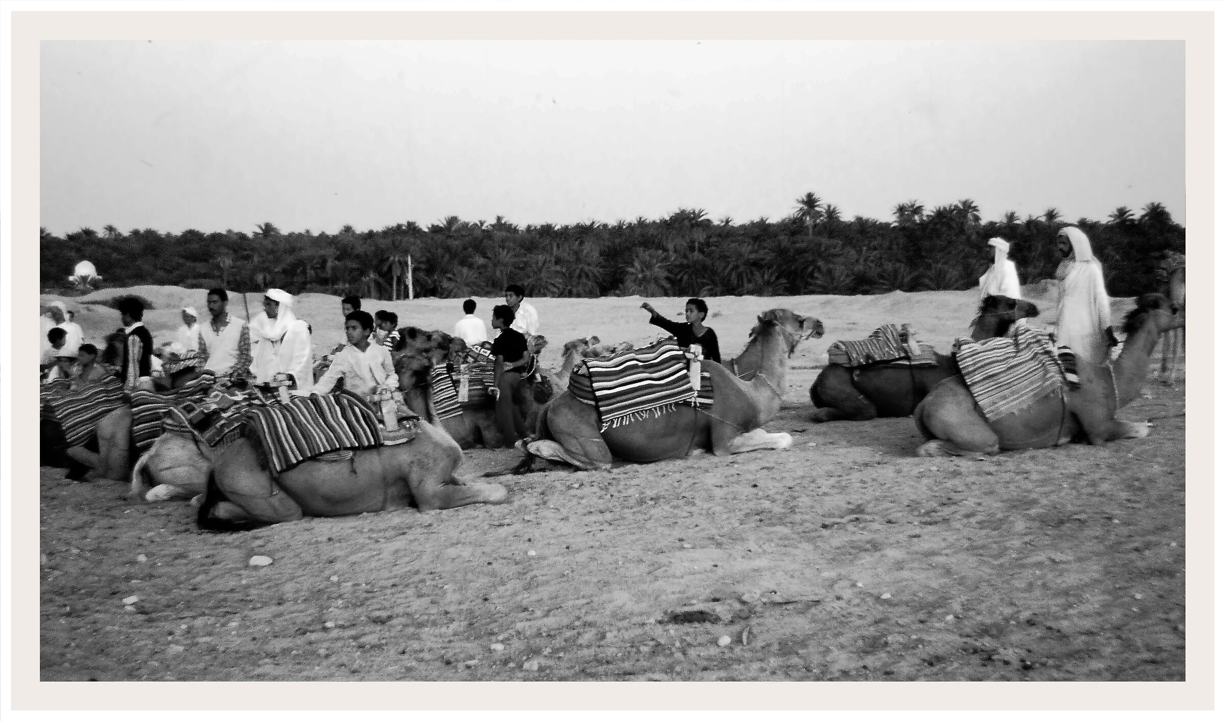 Tunisia 1986