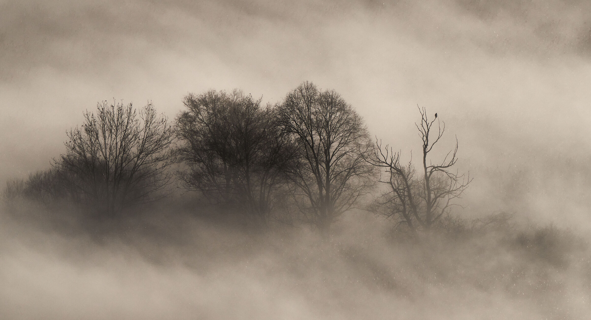 La Poiana solitaria... fiume Adda Airuno Lc