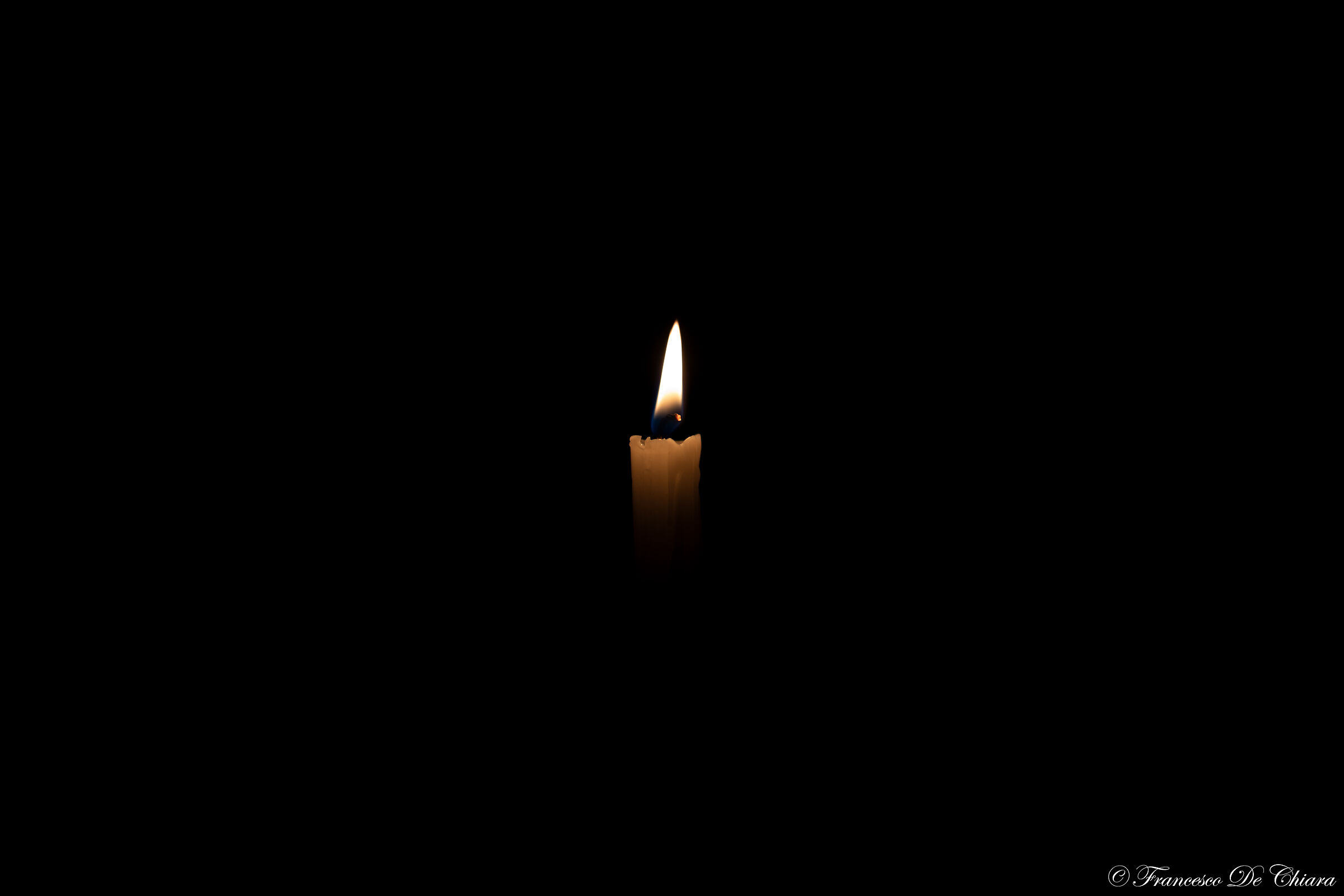 Untitled Photo