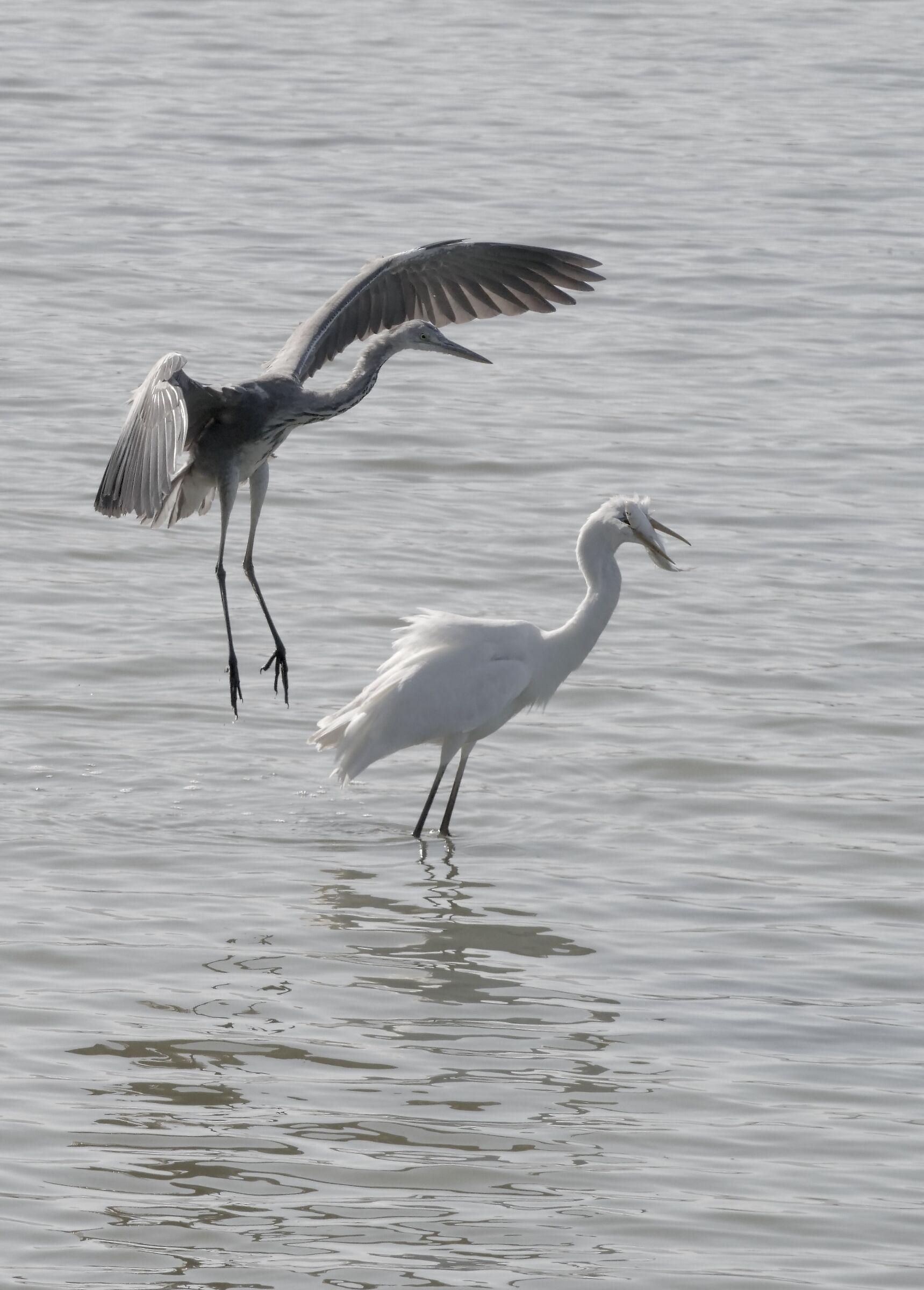 l'eterno fluire da una dimensione all'altra dei vive...