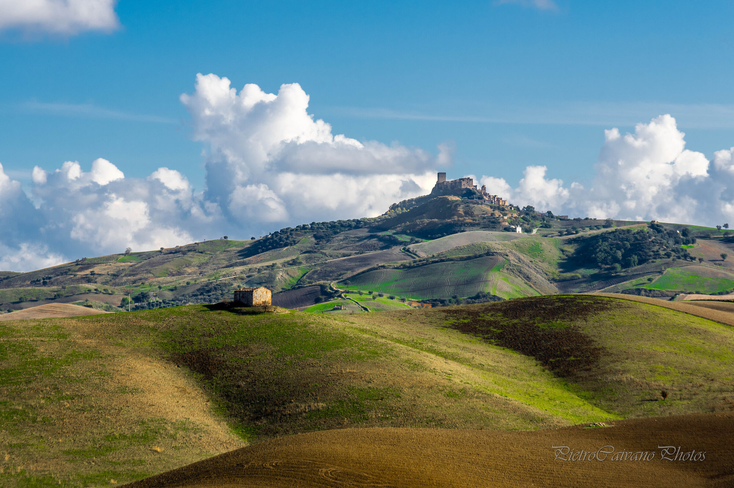 Viaggio tra i campi del paese "fantasma"