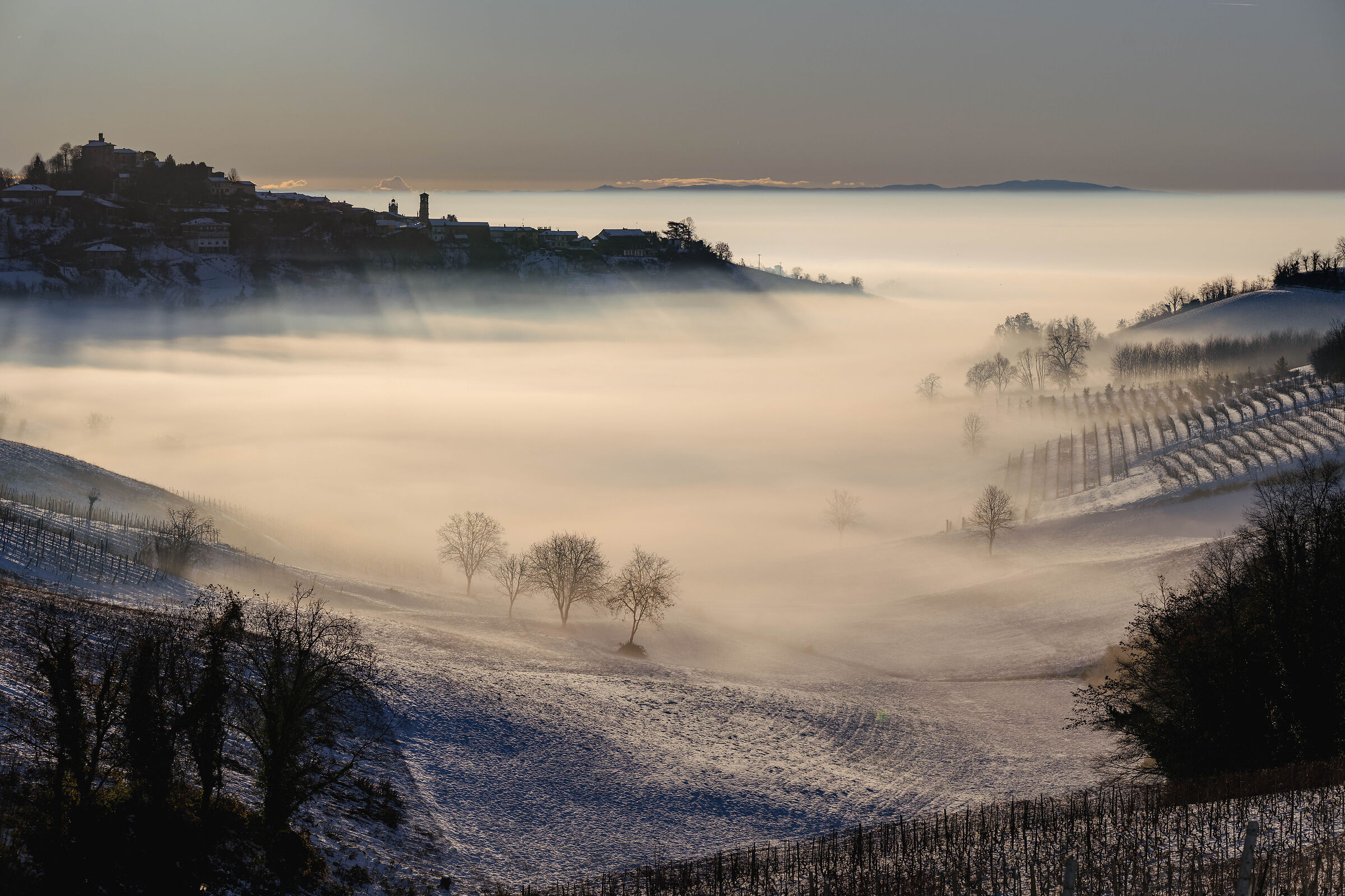 Low fog