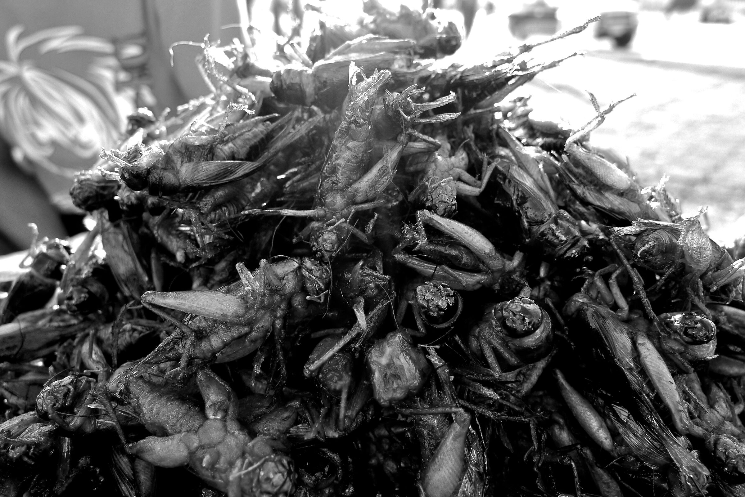 Fried crickets, Cambodia