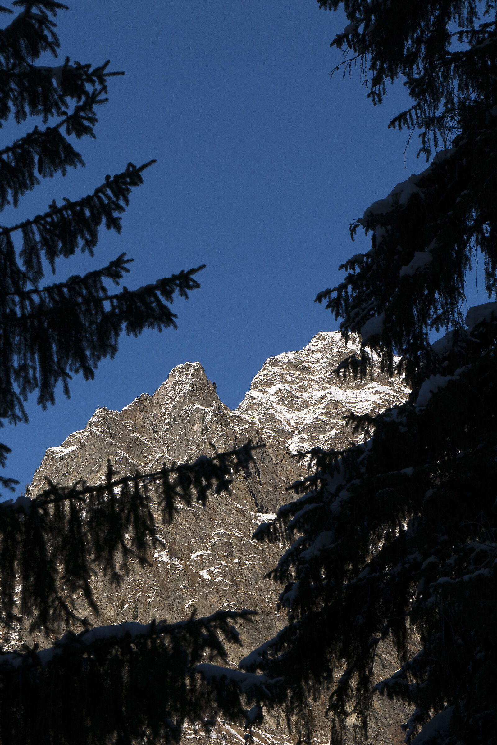 Una mattina a S.Ambrogio