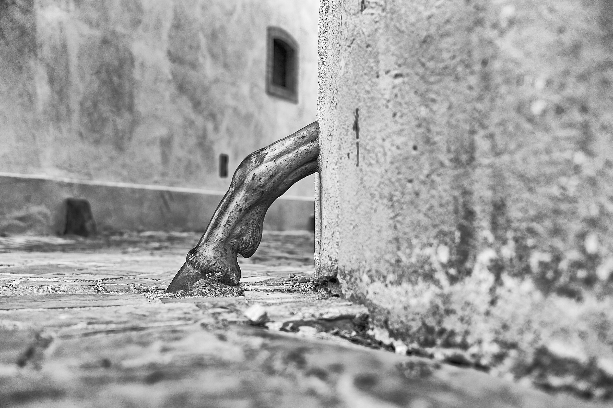 The walled paw