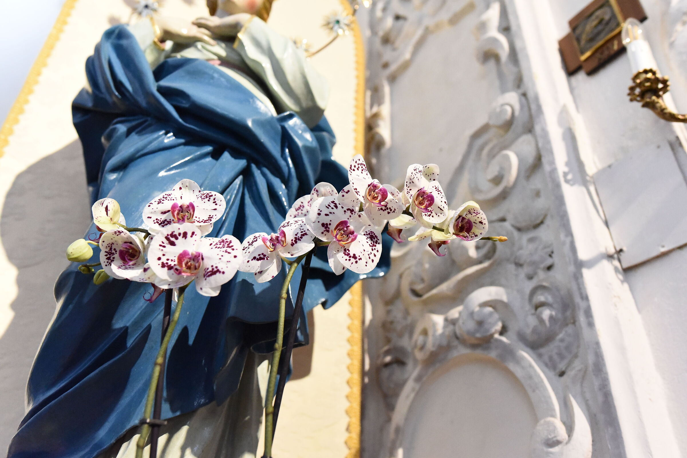 " ISO 12. 8 0 0 ", F. 3.3, 1/ 500- Sigma 28, 1.4 A...