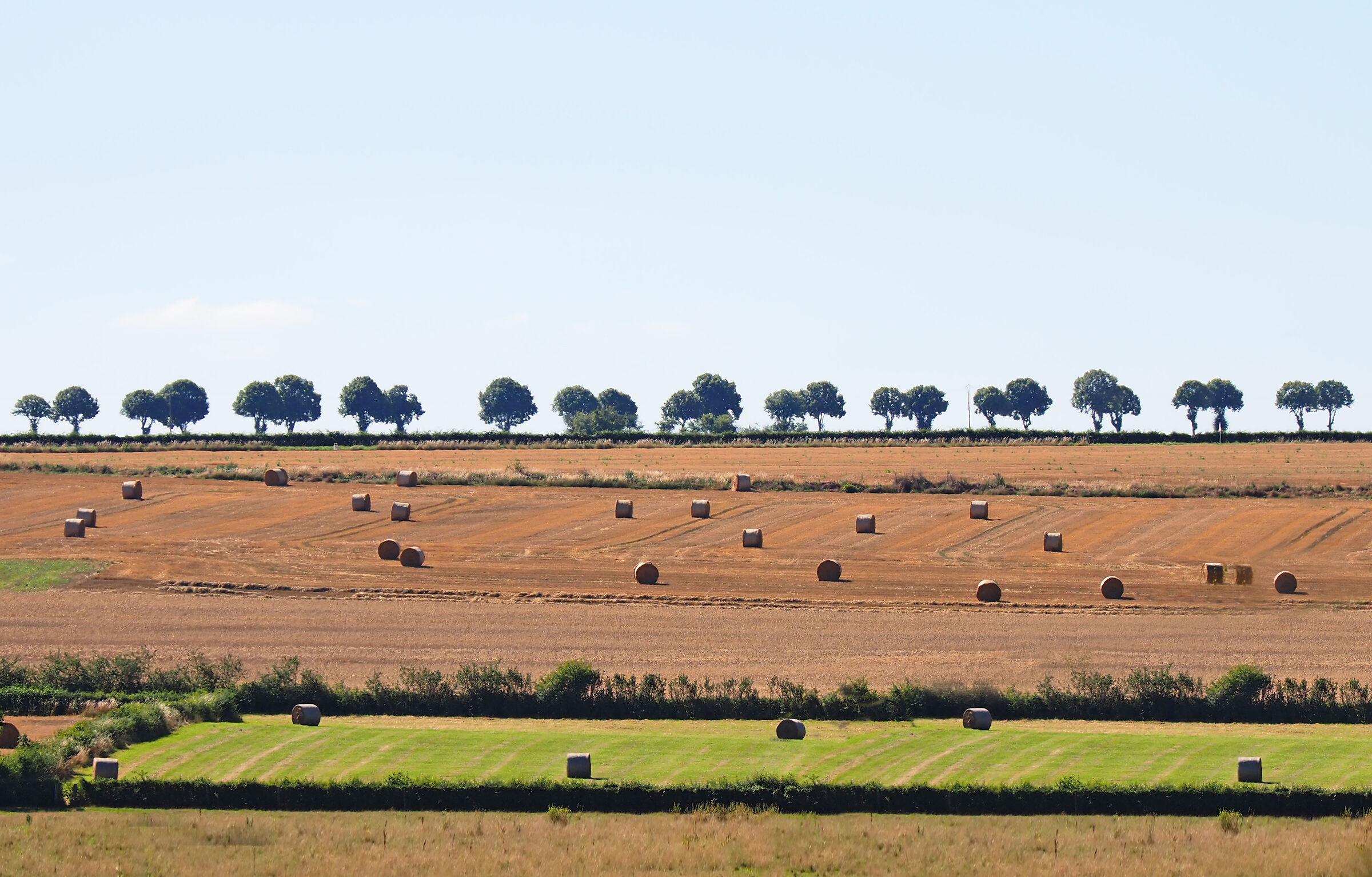 campagna