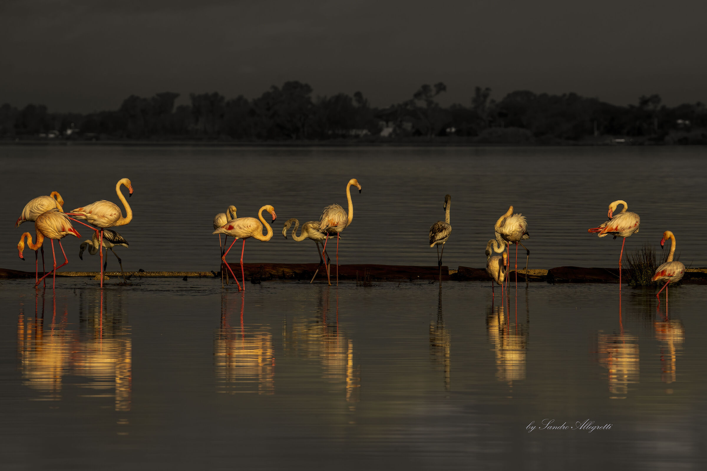 Primo mattino sul lago