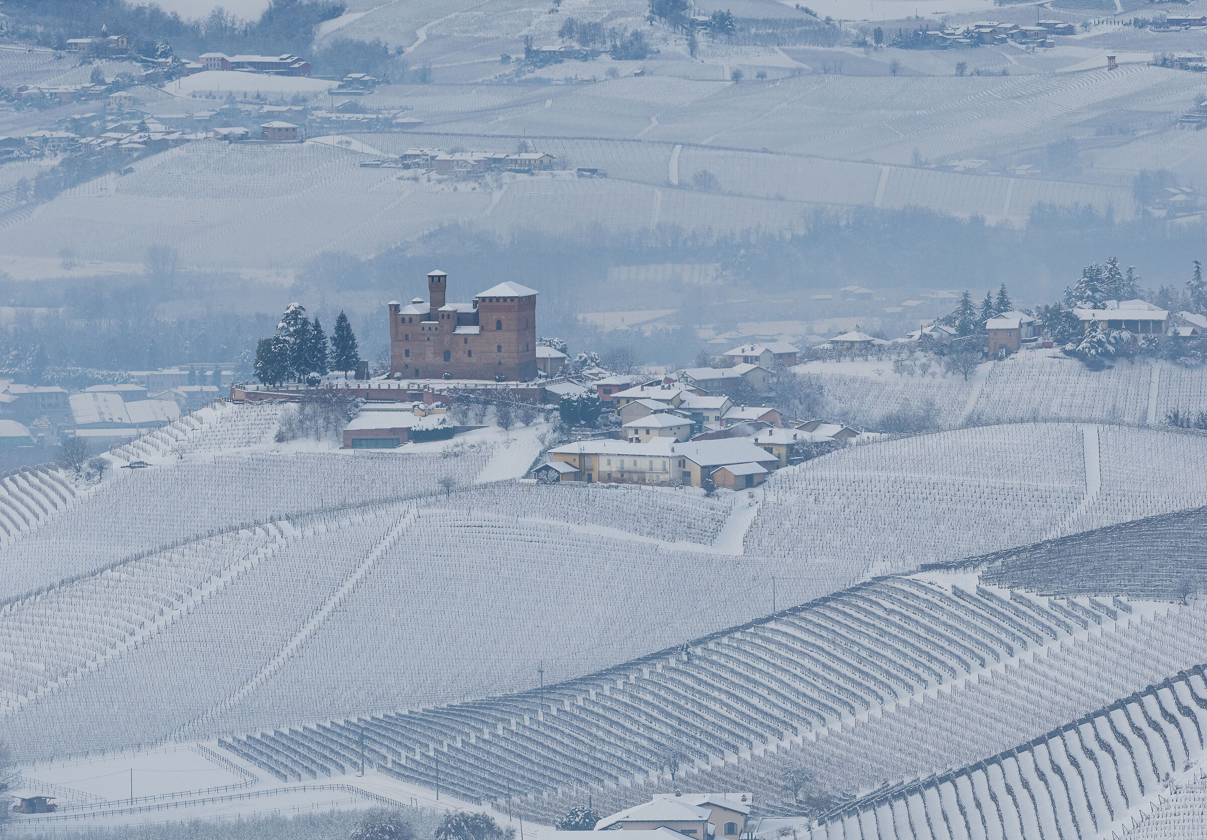 the Castle of Grinzane Cavour and the winter vineyards