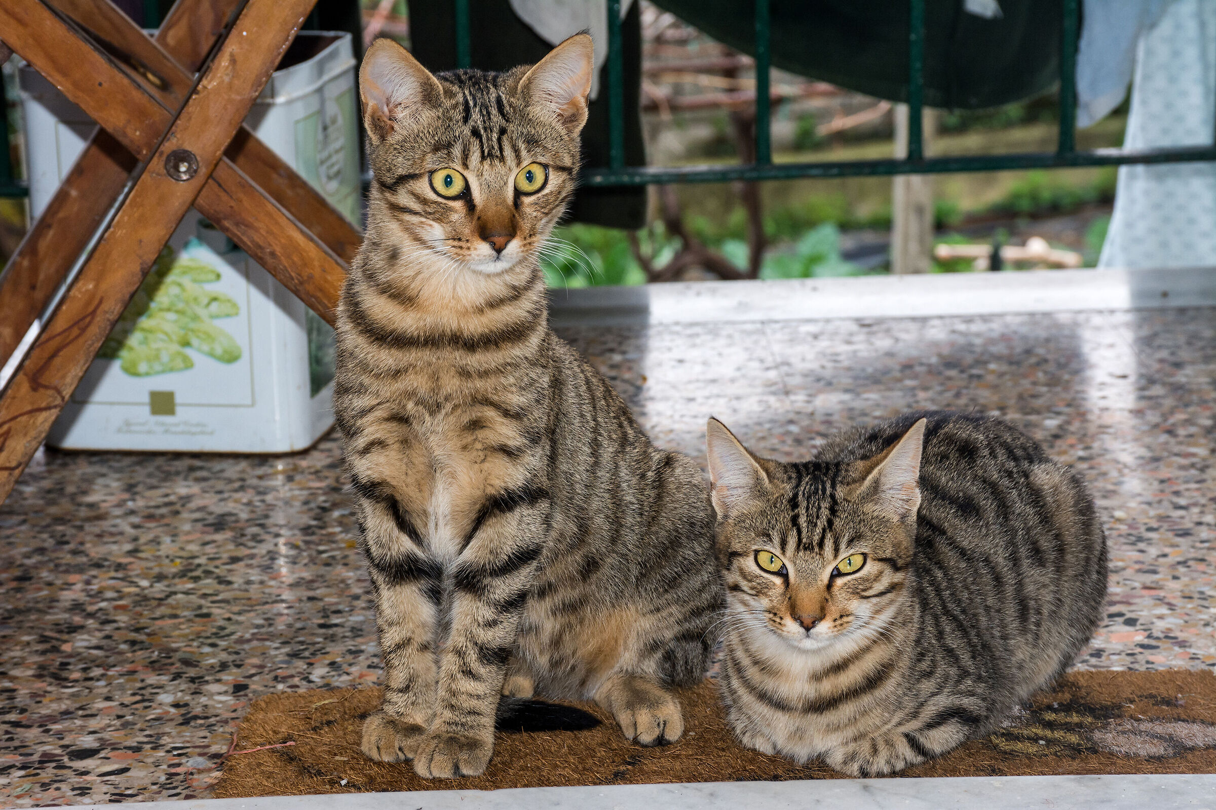 Quiet that I control