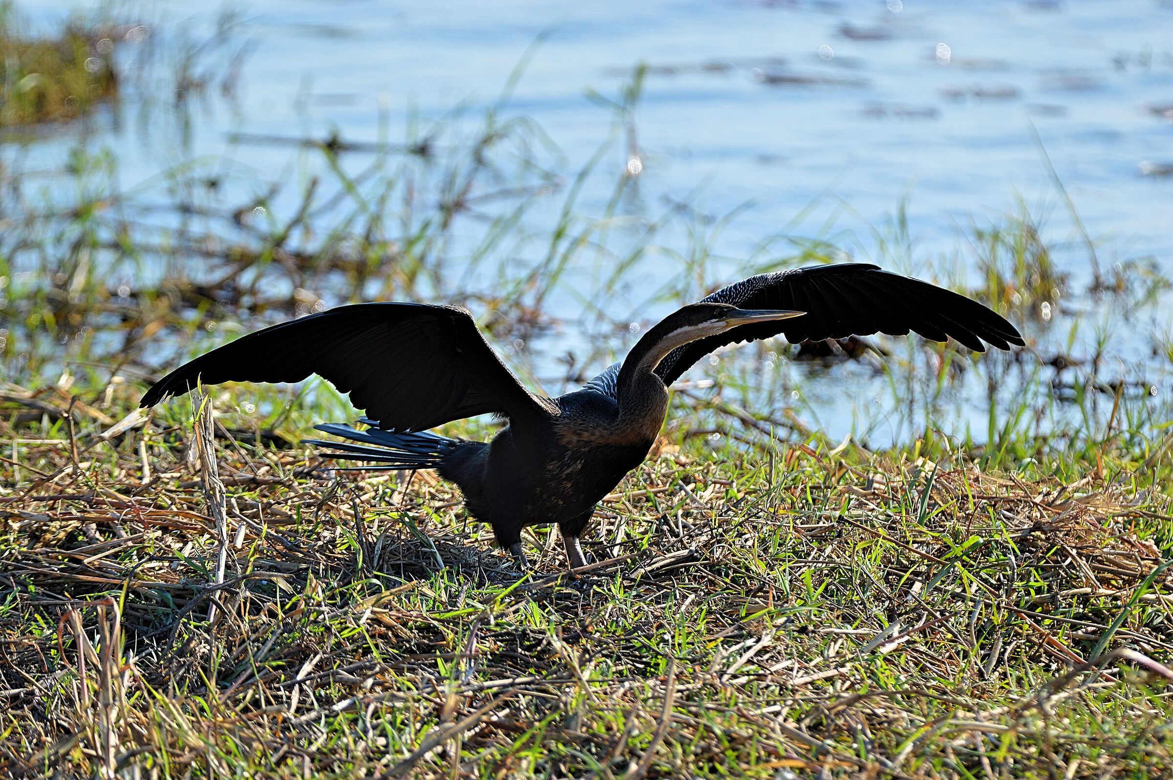 After a nice dip you lie in the sun...